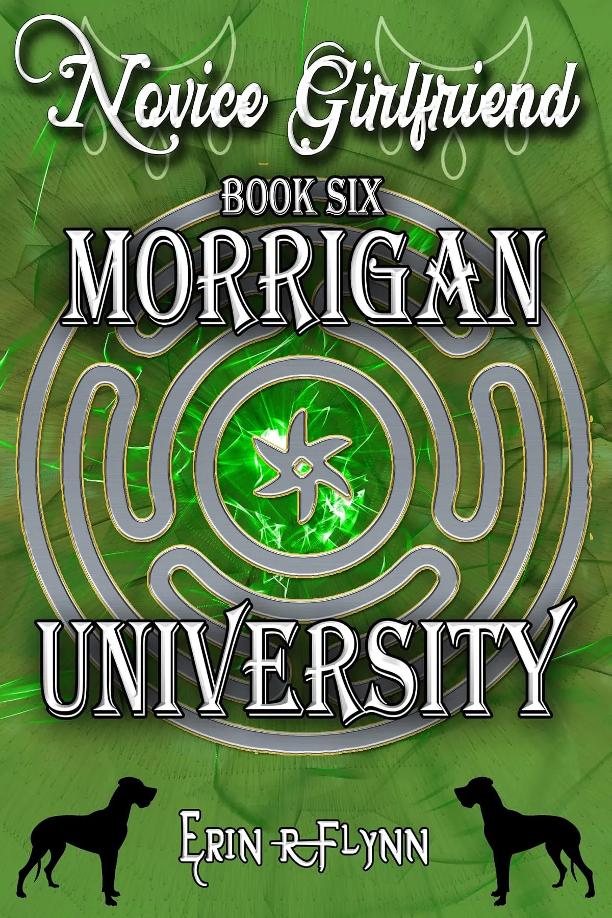 Novice Girlfriend (Morrigan University #6) by Erin R Flynn