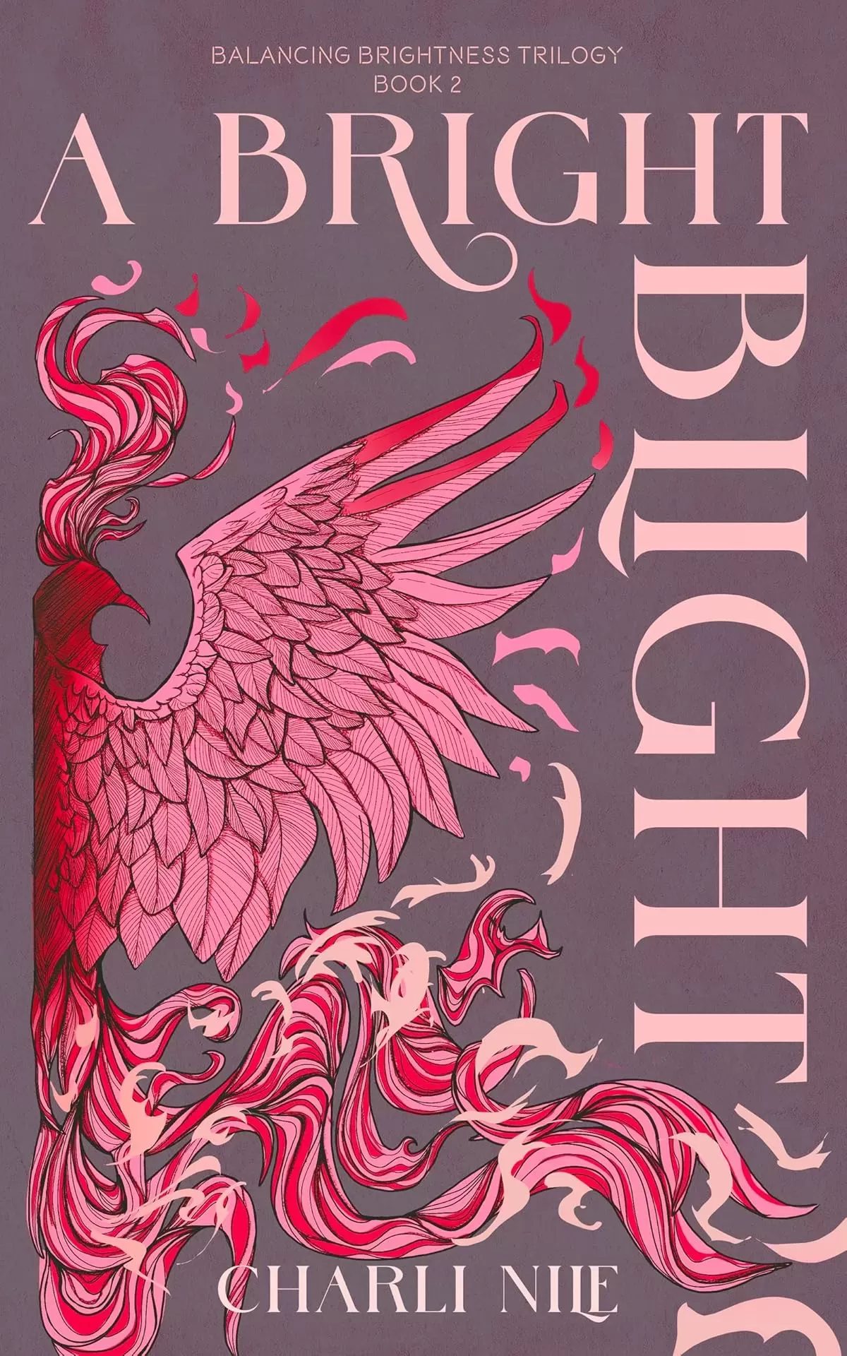 A Bright Blight (The Balancing Brightness Trilogy #2) by Charli Nile
