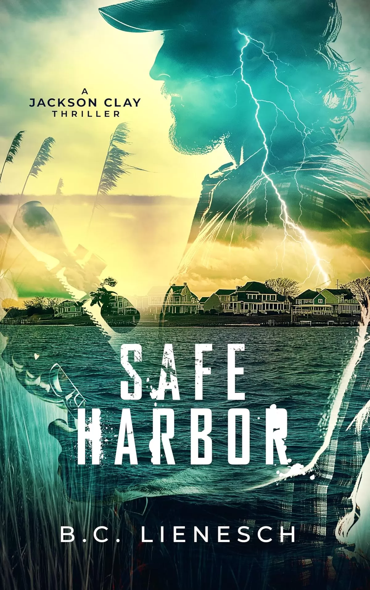 Safe Harbor (Jackson Clay & Bear Beauchamp #5) by B.C. Lienesch
