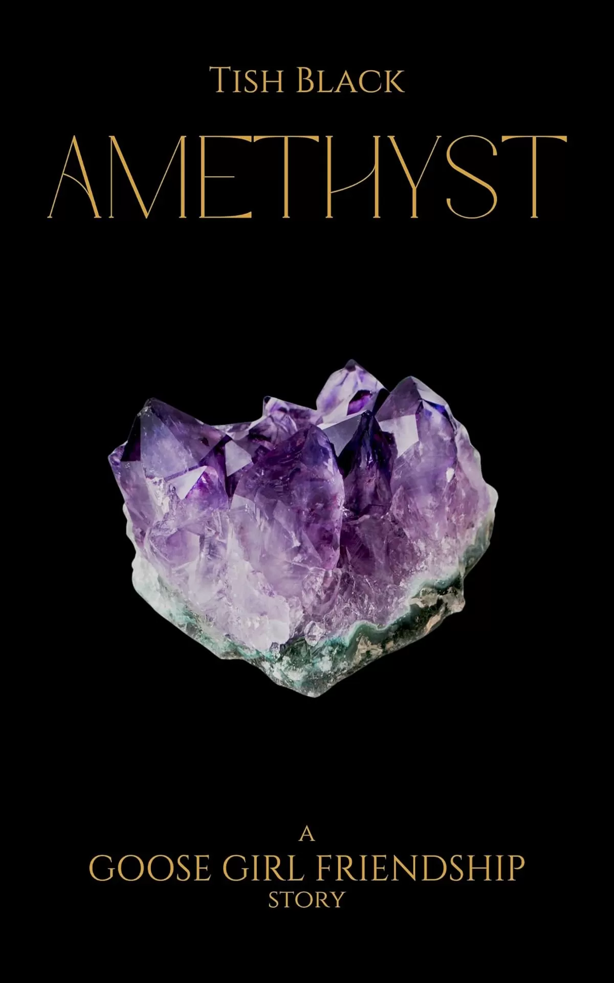 Amethyst: A Goose Girl Friendship Story (Ebony, Blood, and Snow) by Tish Black