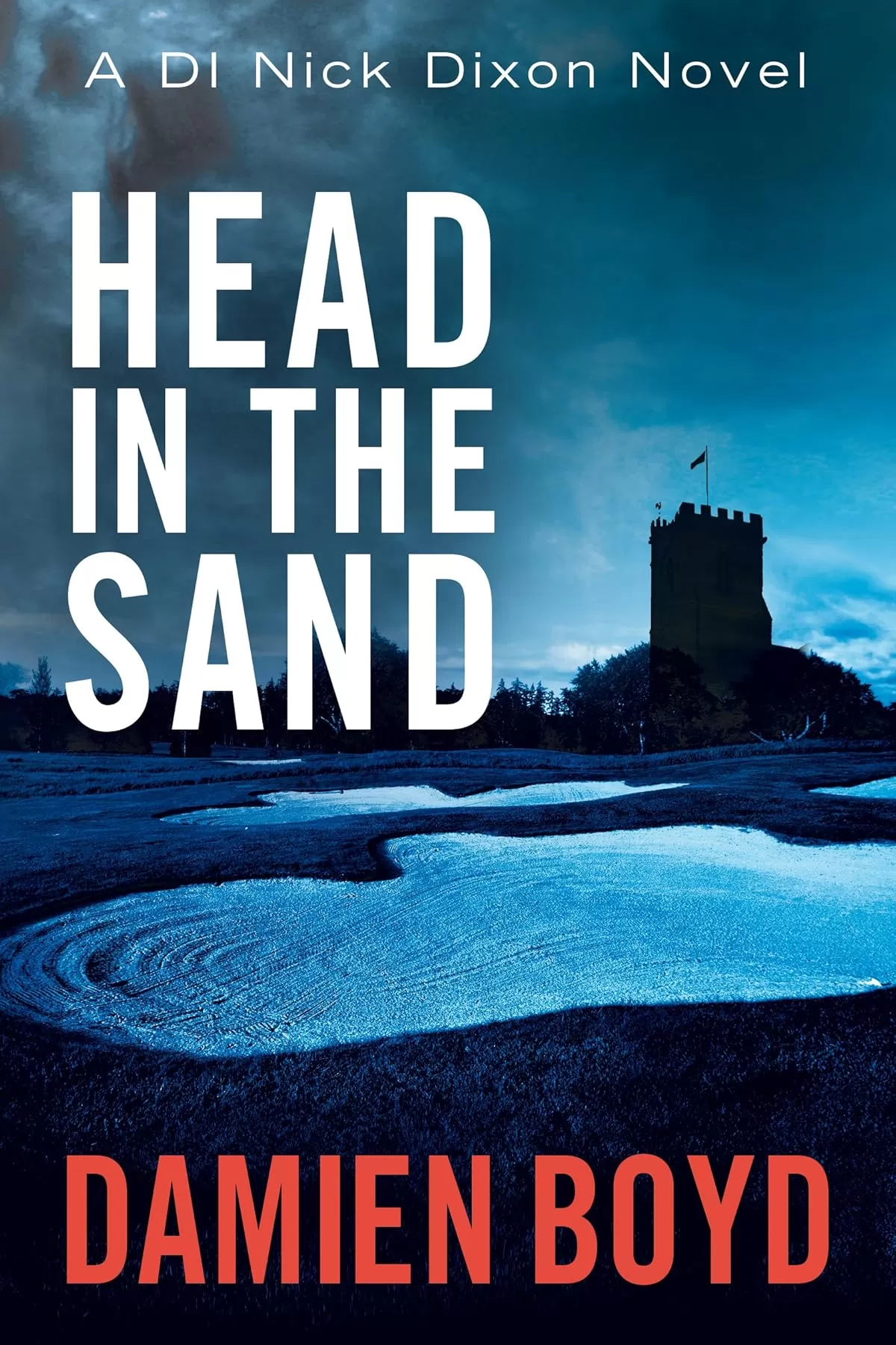 Head in the Sand (Detective Inspector Nick Dixon #2) by Damien Boyd