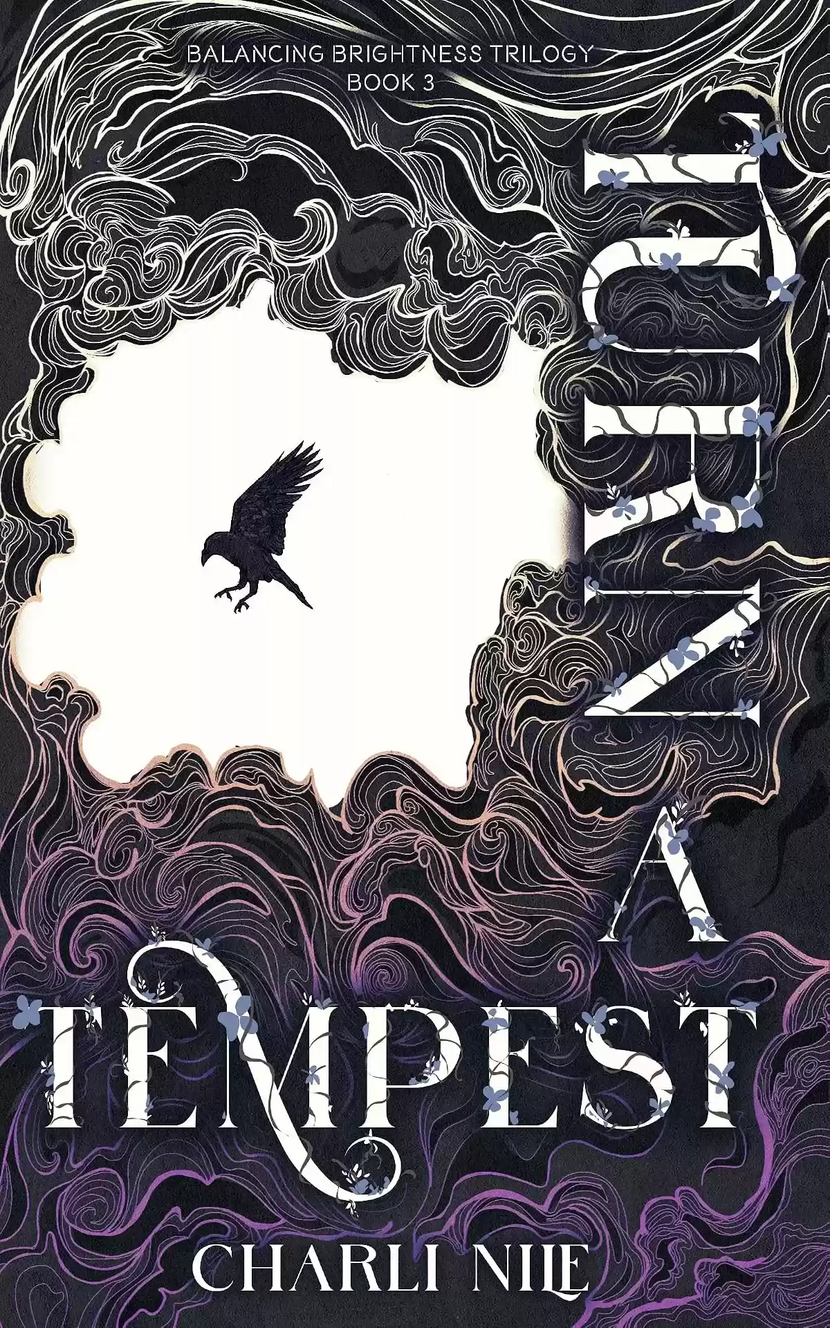 Turn a Tempest (The Balancing Brightness Trilogy #3) by Charli Nile