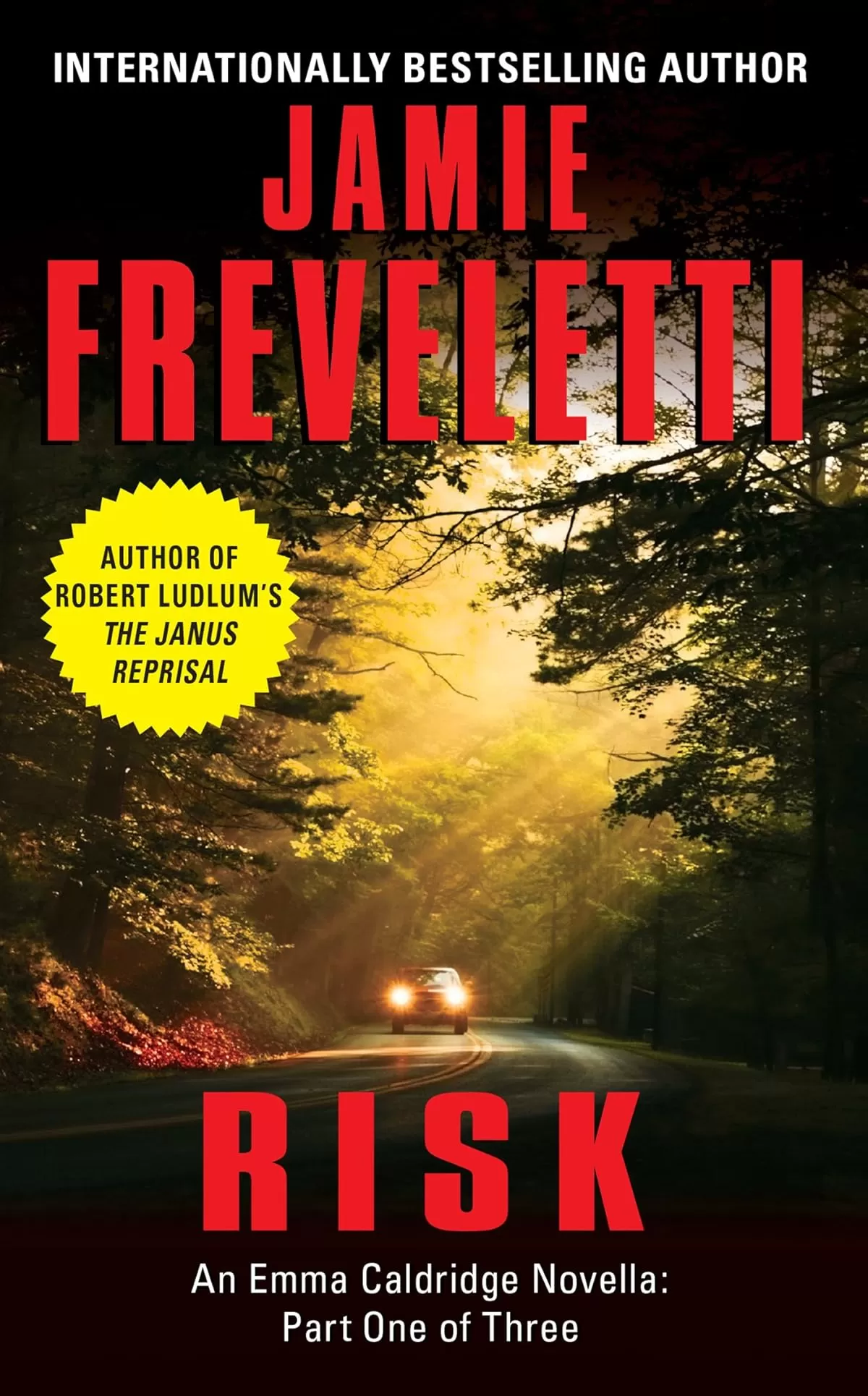 Risk (Emma Caldridge #4.1) by Jamie Freveletti
