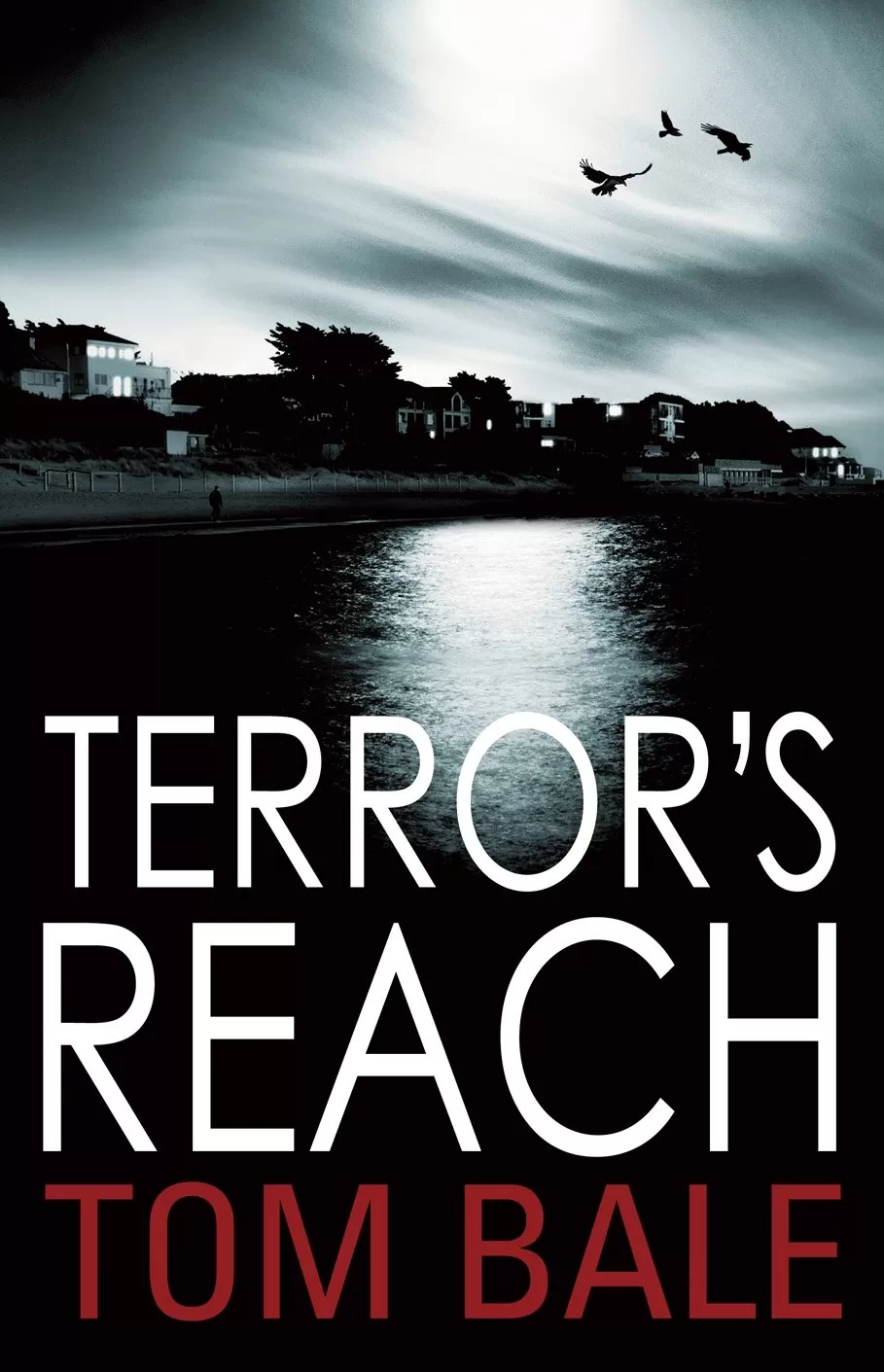 Terror's Reach by Tom Bale