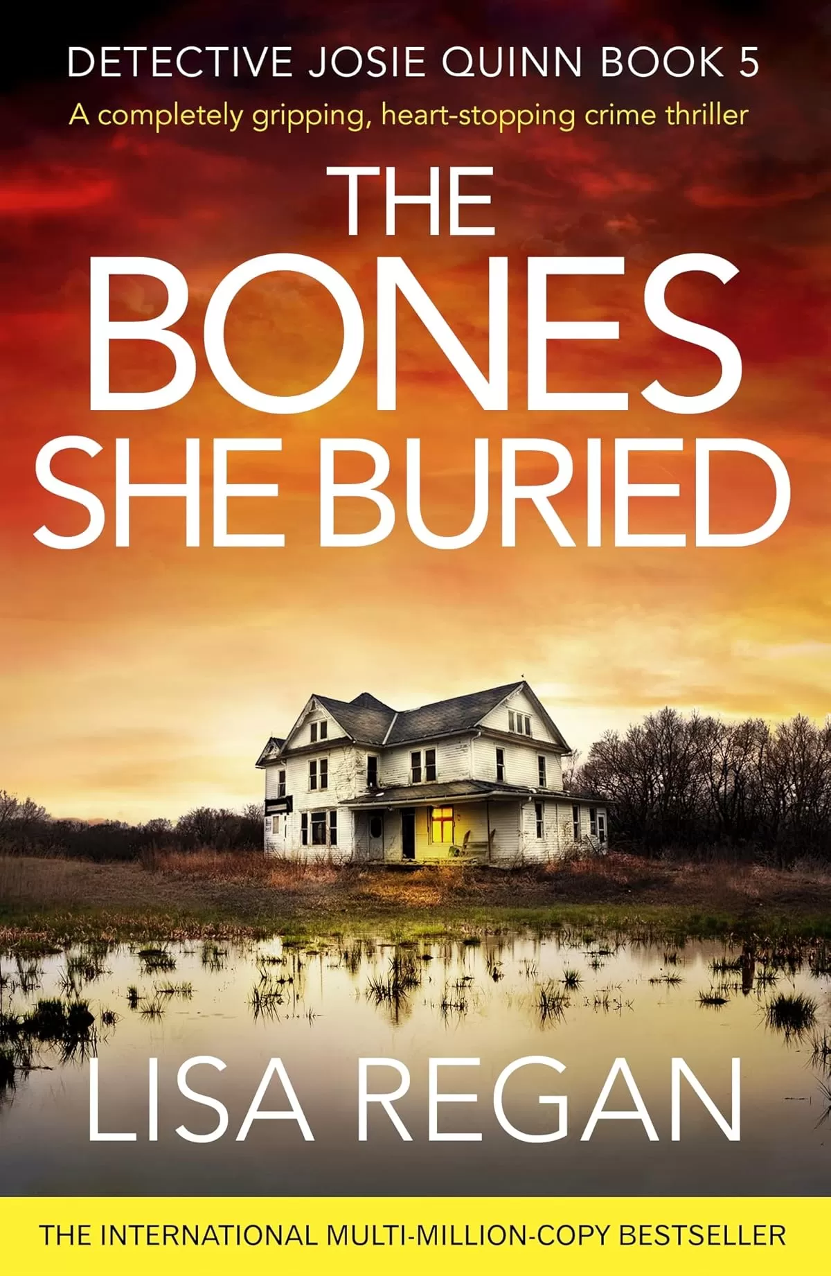 The Bones She Buried (Detective Josie Quinn #5) by Lisa Regan