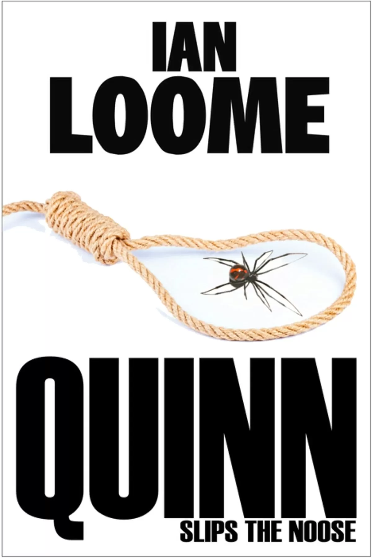 Quinn Slips the Noose (Liam Quinn Mysteries #7) by Ian Loome