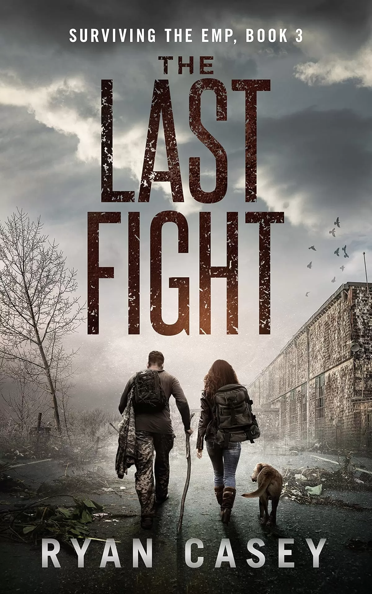 The Last Fight (Surviving the EMP #3) by Ryan Casey