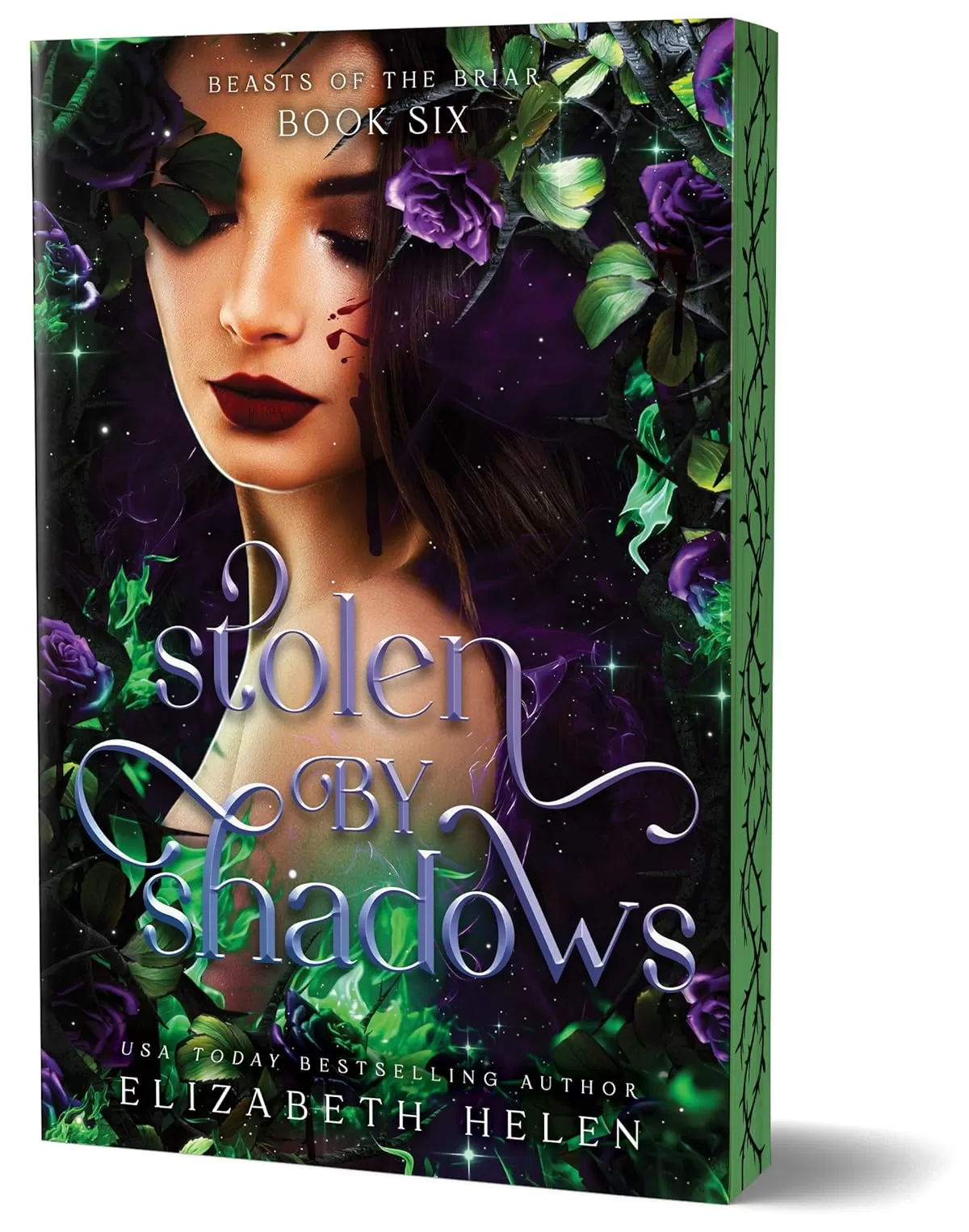 Stolen by Shadows: A Why Choose Beauty and the Beast retelling (Beasts of the Briar #6) by Elizabeth Helen