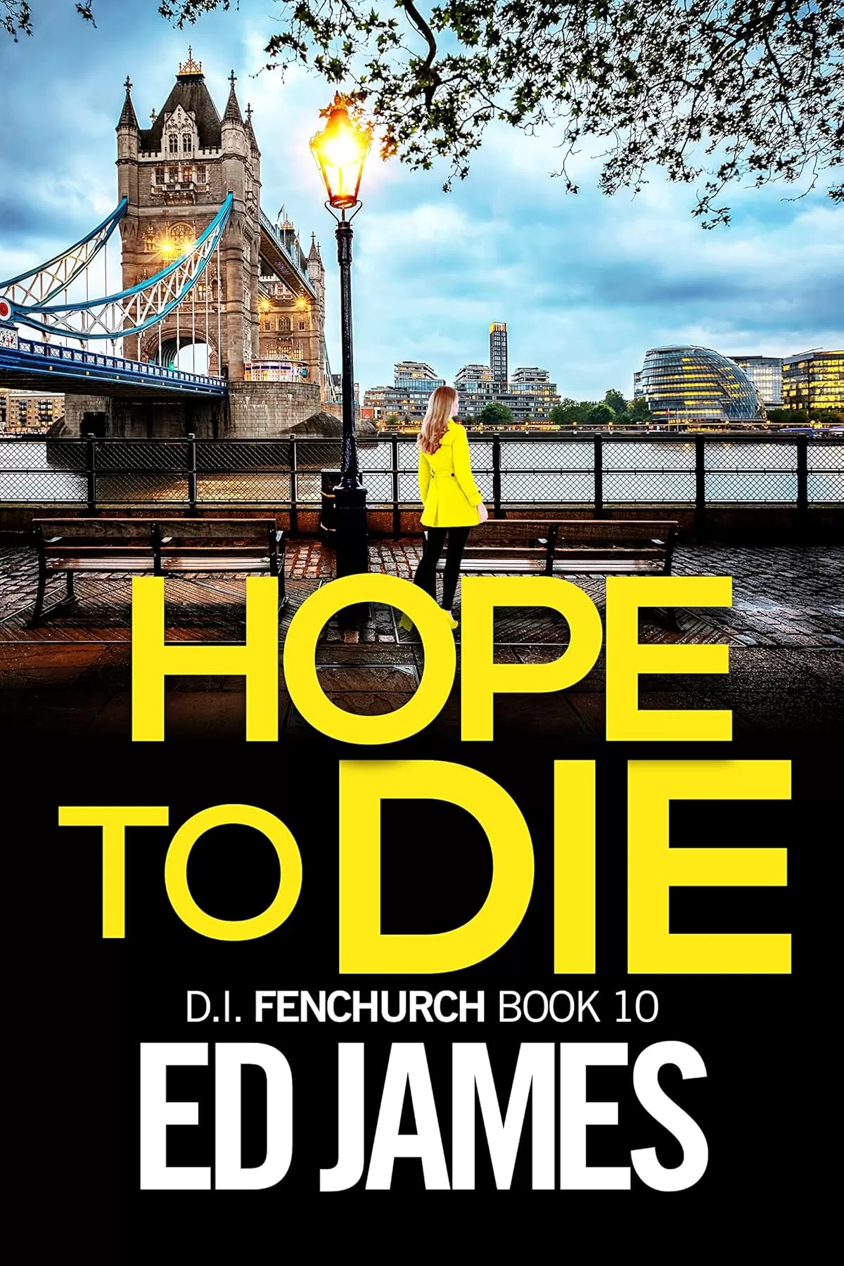 Hope To Die (DI Simon Fenchurch #10) by Ed James