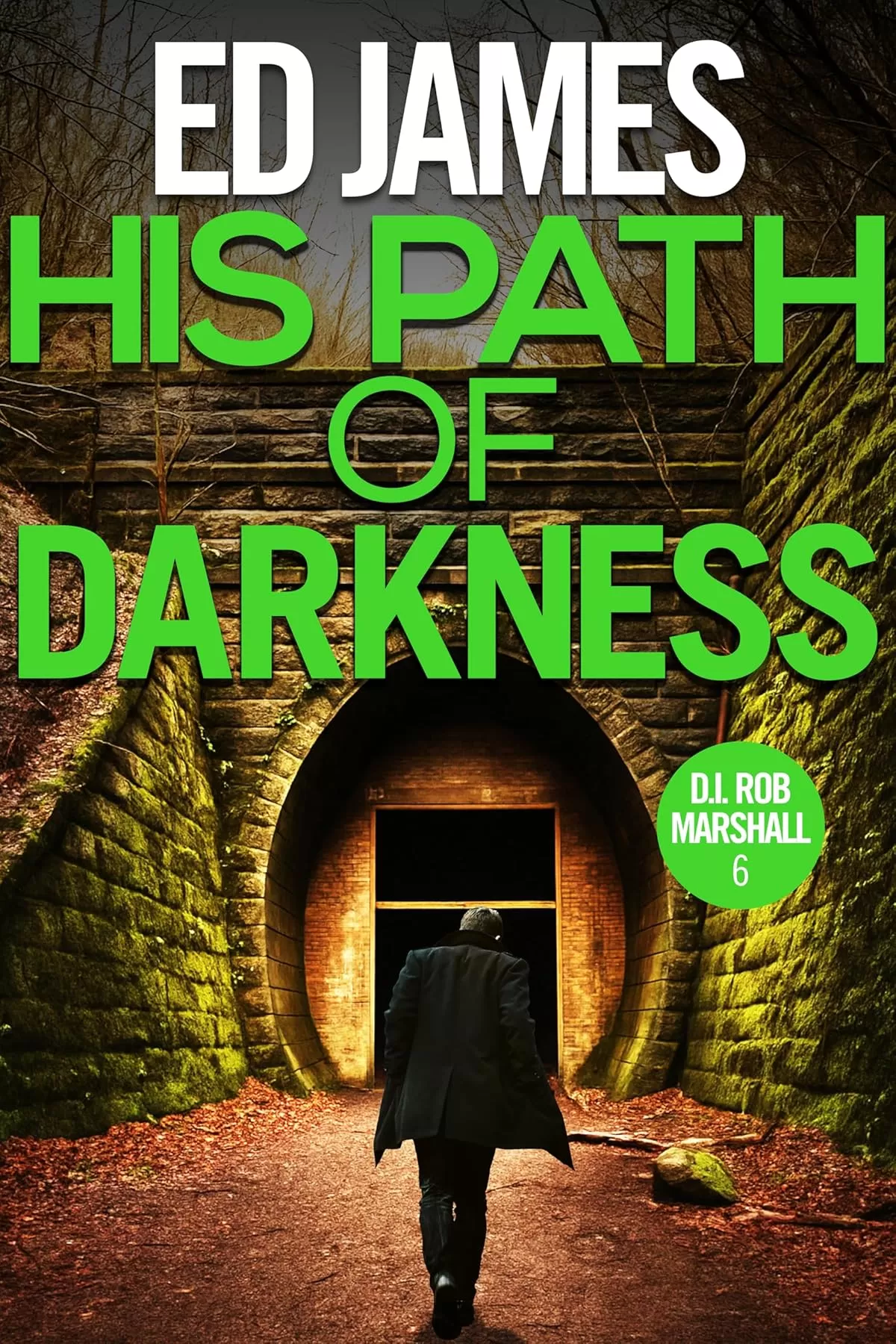 His Path of Darkness (DI Rob Marshall #6) by Ed James