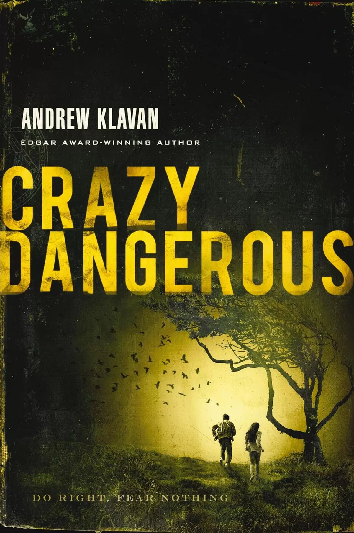 Crazy Dangerous by Andrew Klavan