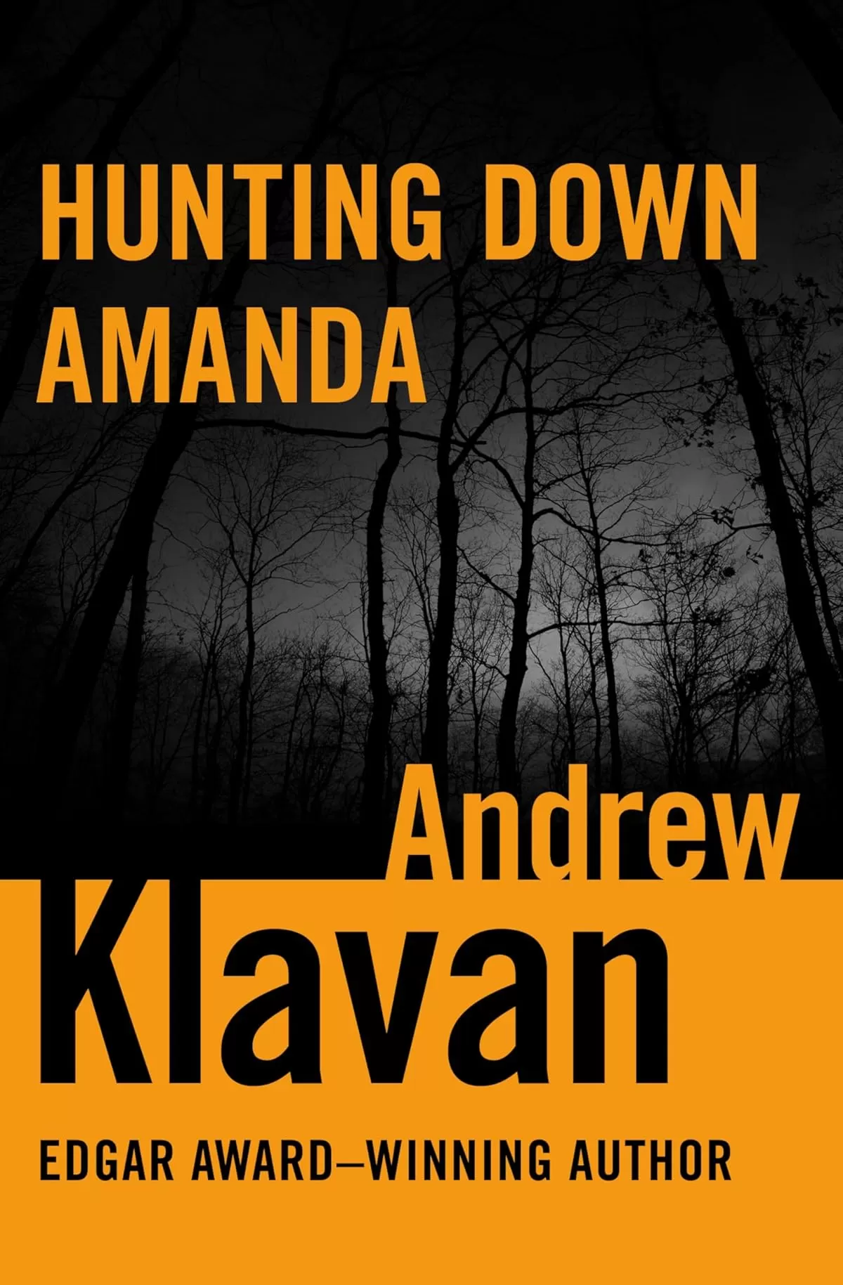 Hunting Down Amanda by Andrew Klavan