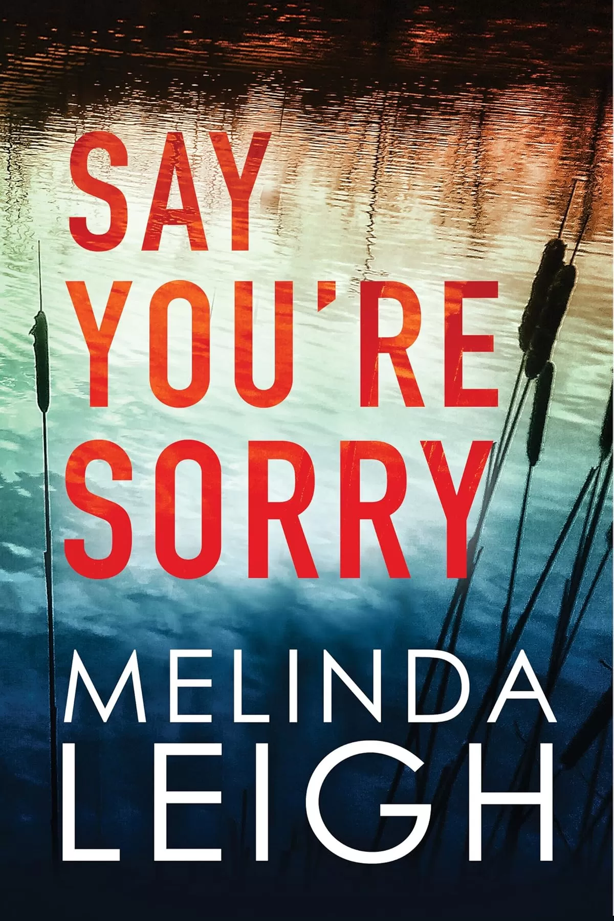 Say You're Sorry (Morgan Dane #1) by Melinda Leigh