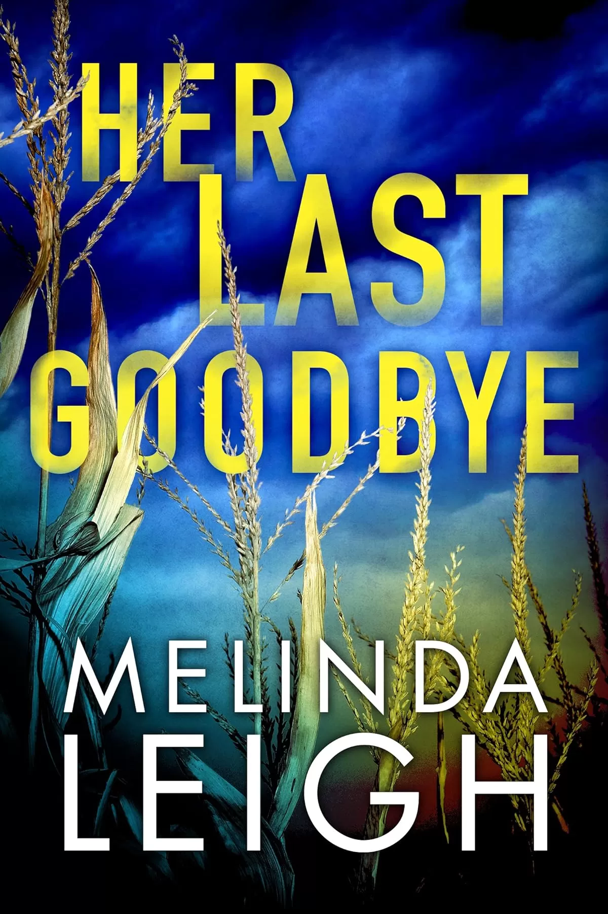 Her Last Goodbye (Morgan Dane #2) by Melinda Leigh
