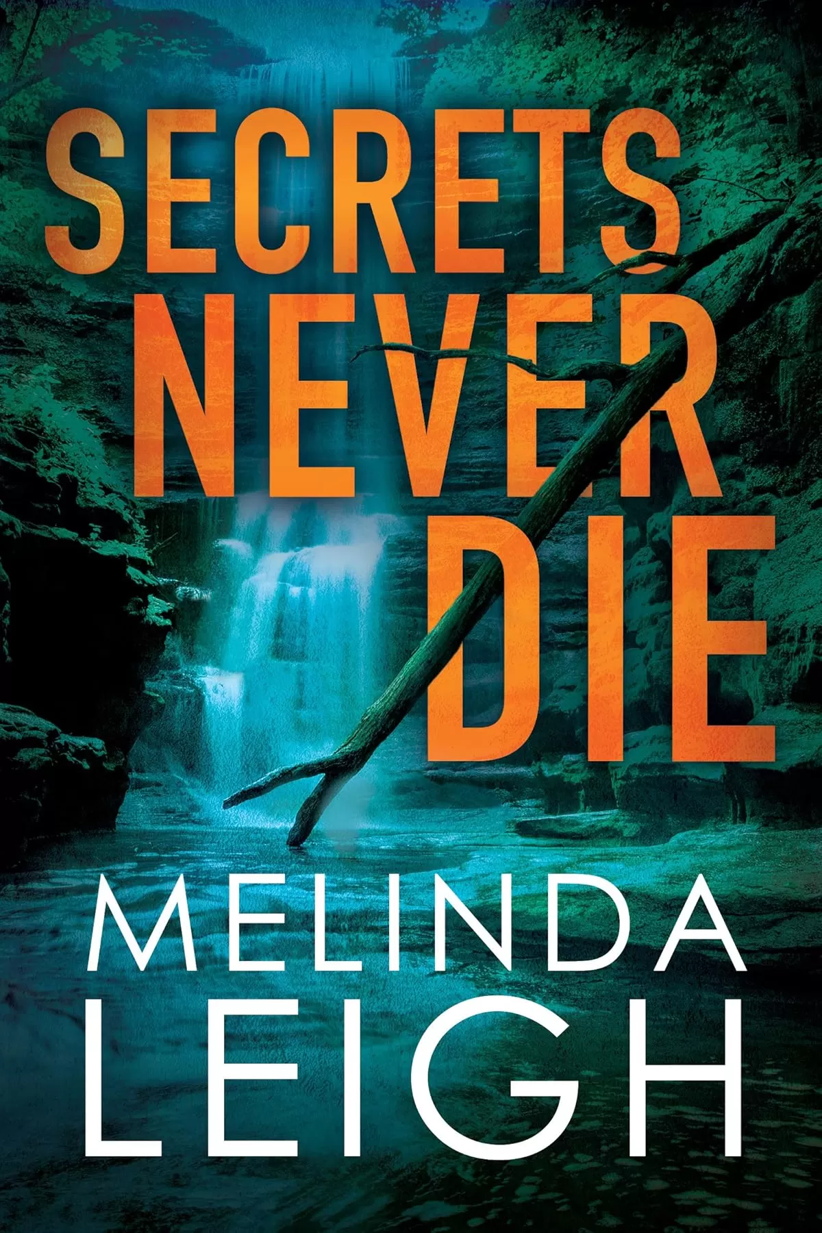 Secrets Never Die (Morgan Dane #5) by Melinda Leigh