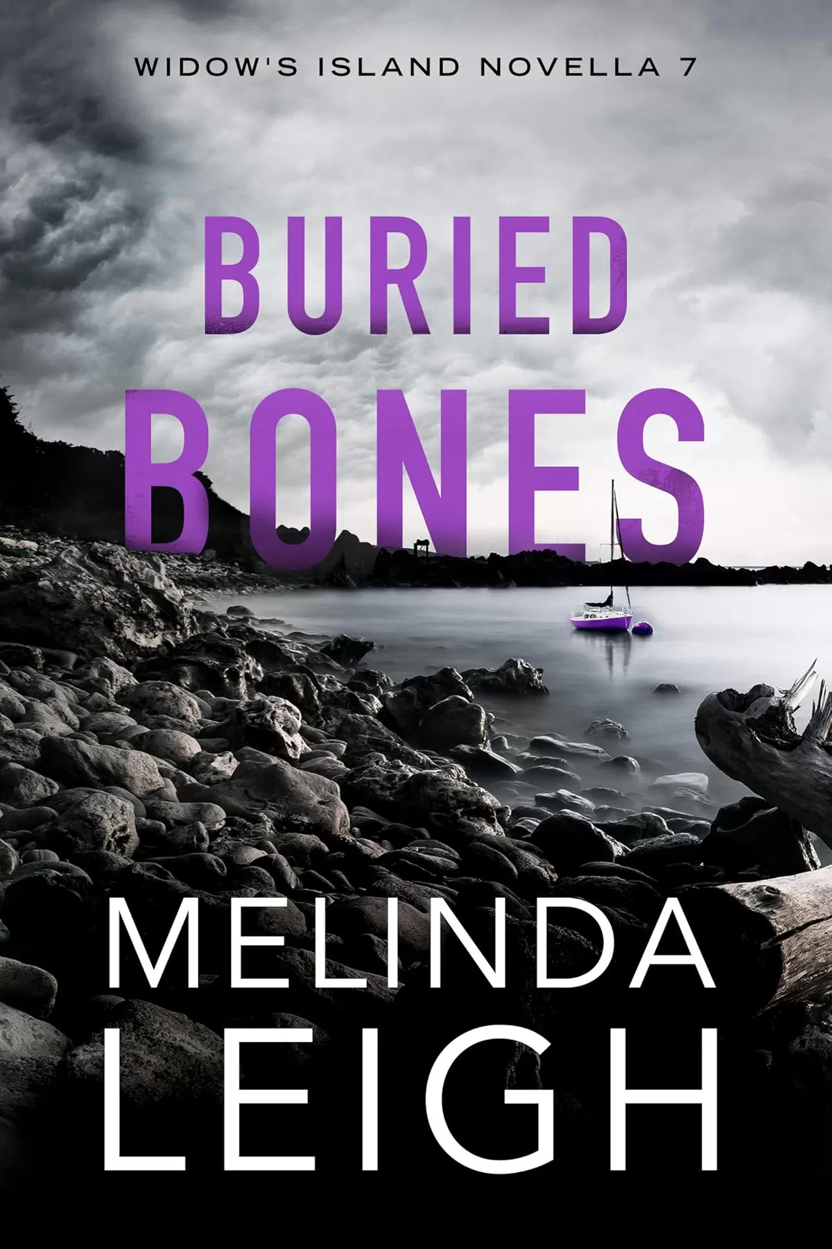 Buried Bones (Widow's Island #7) by Melinda Leigh