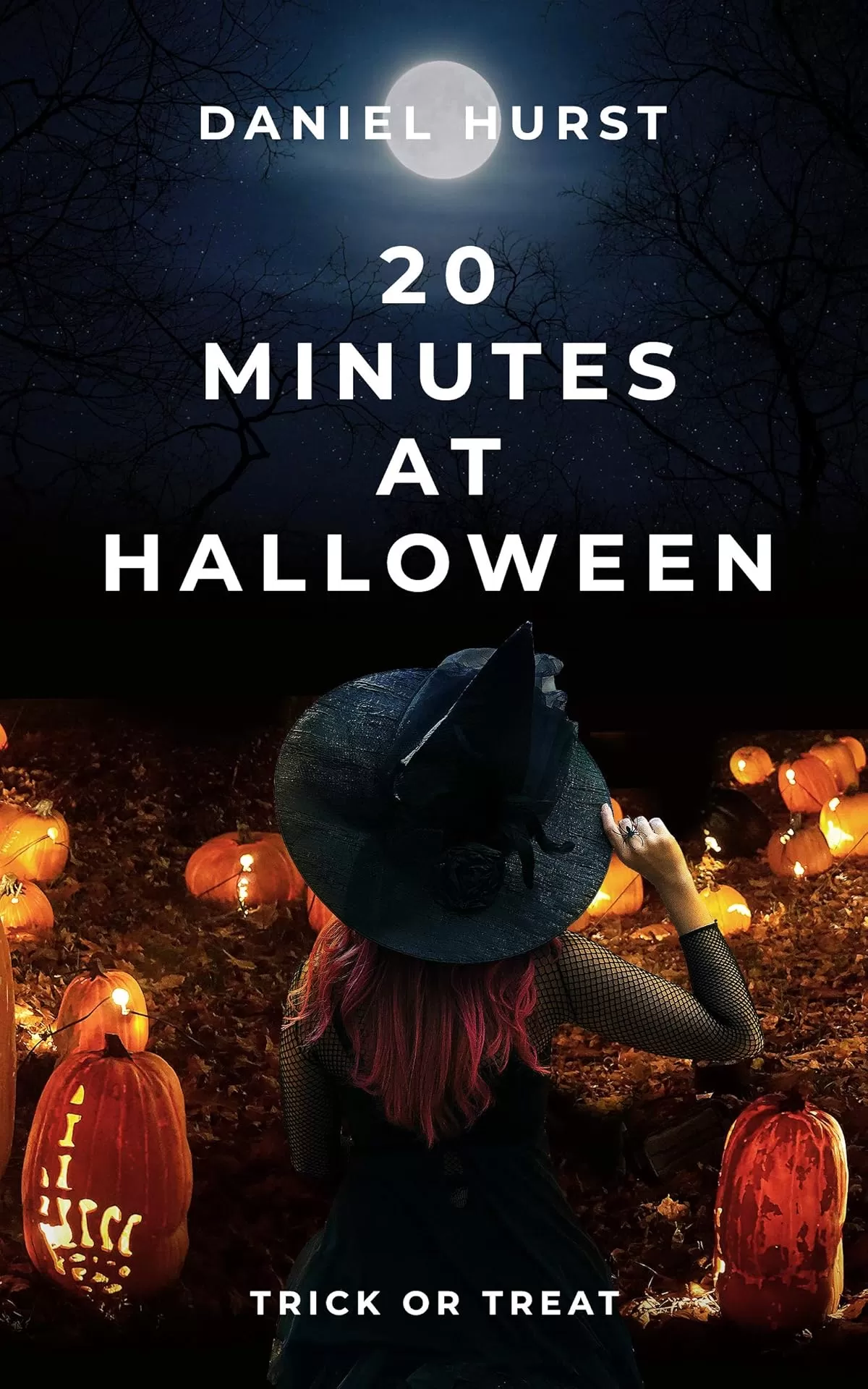 20 Minutes At Halloween (20 Minute Series #6) by Daniel Hurst