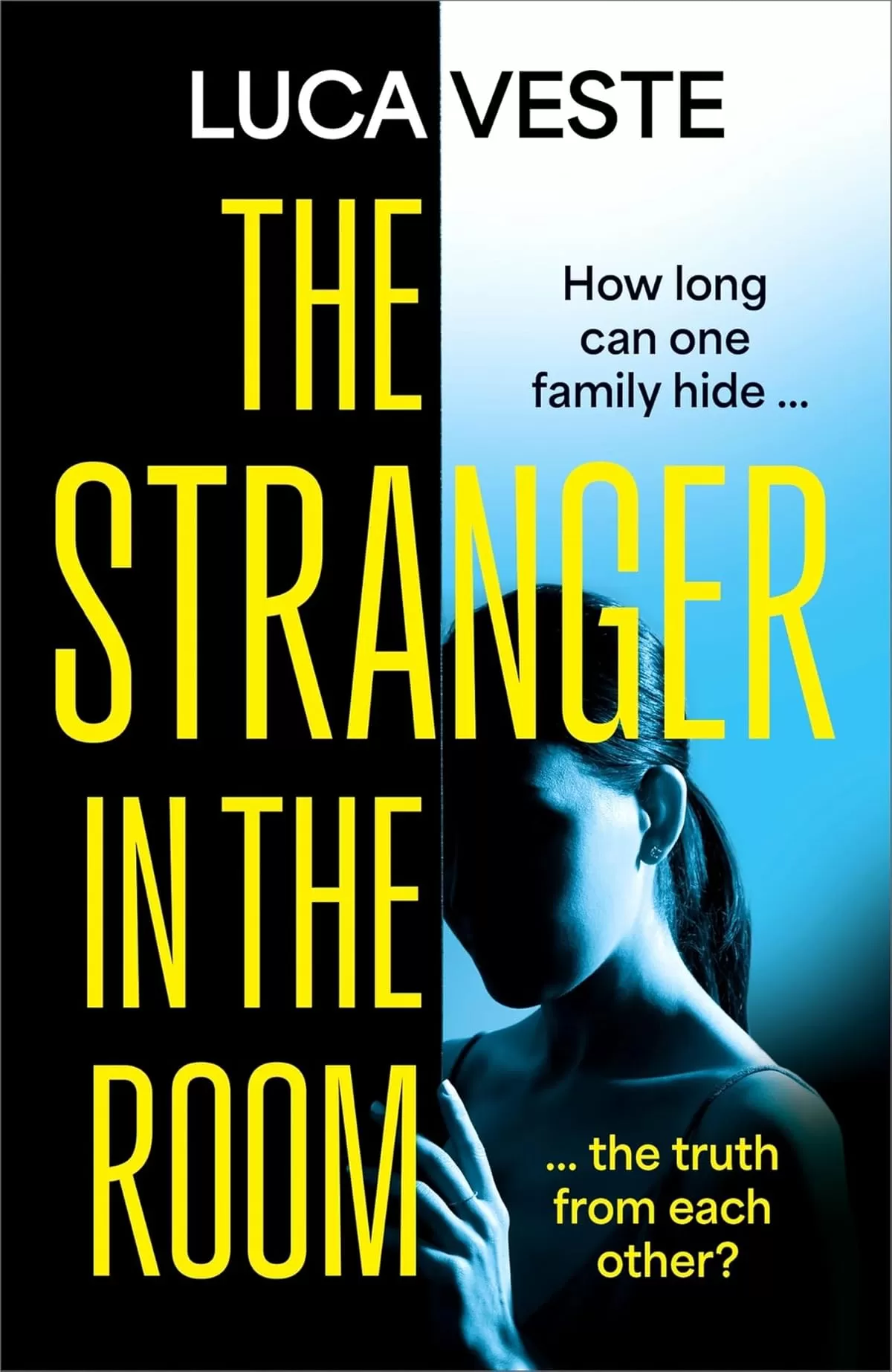 The Stranger in the Room by Luca Veste