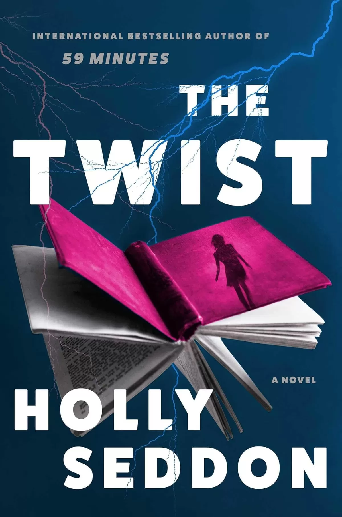The Twist by Holly Seddon