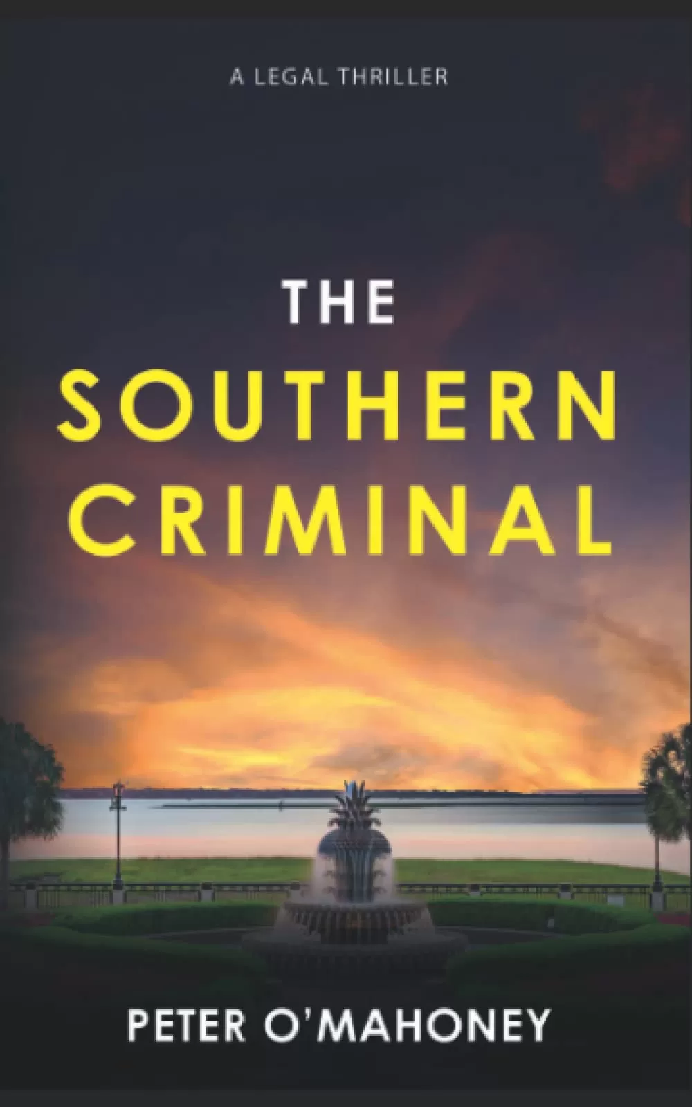 The Southern Criminal (The Southern Lawyer Series #2) by Peter O'Mahoney