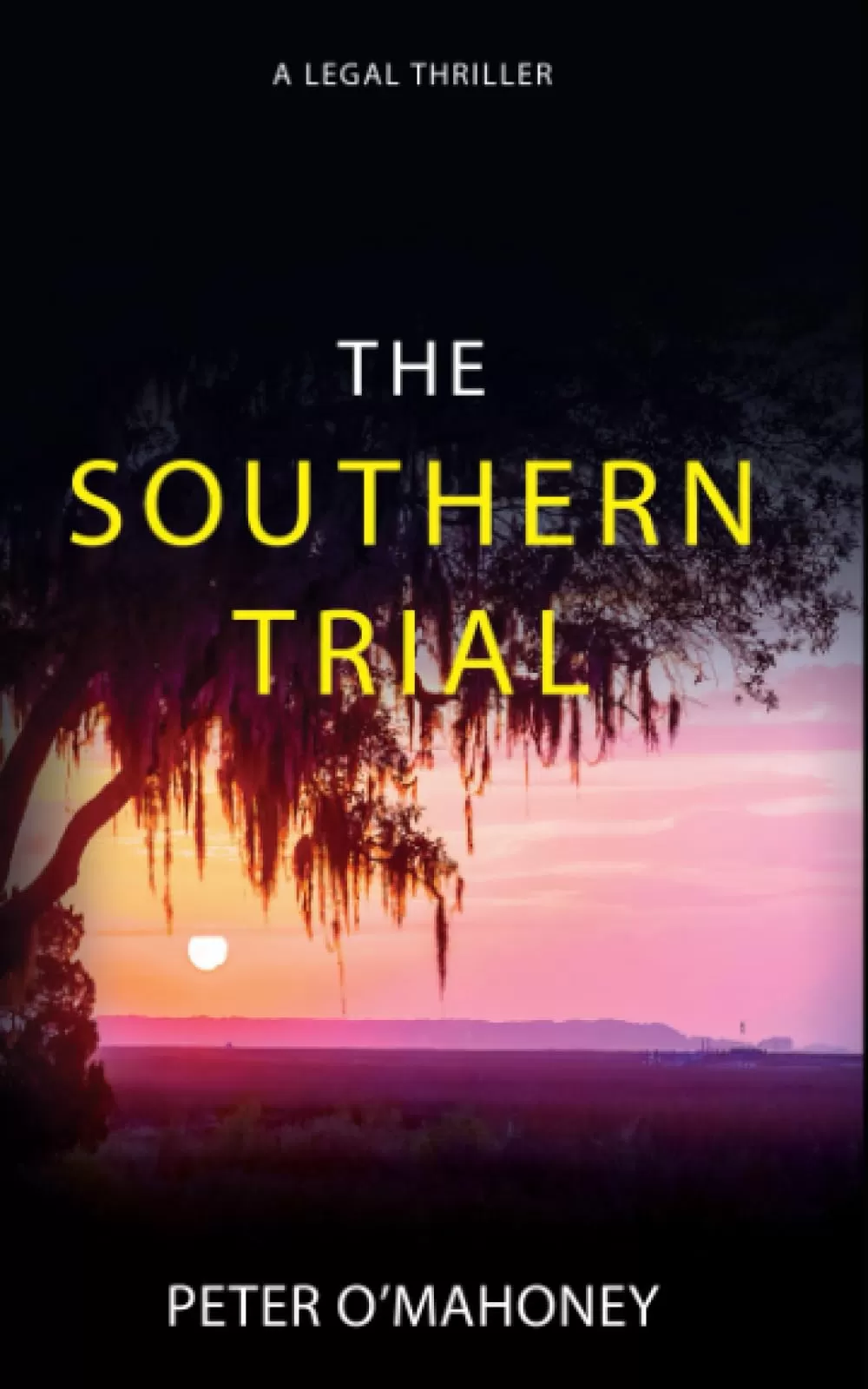 The Southern Trial (The Southern Lawyer Series #4) by Peter O'Mahoney