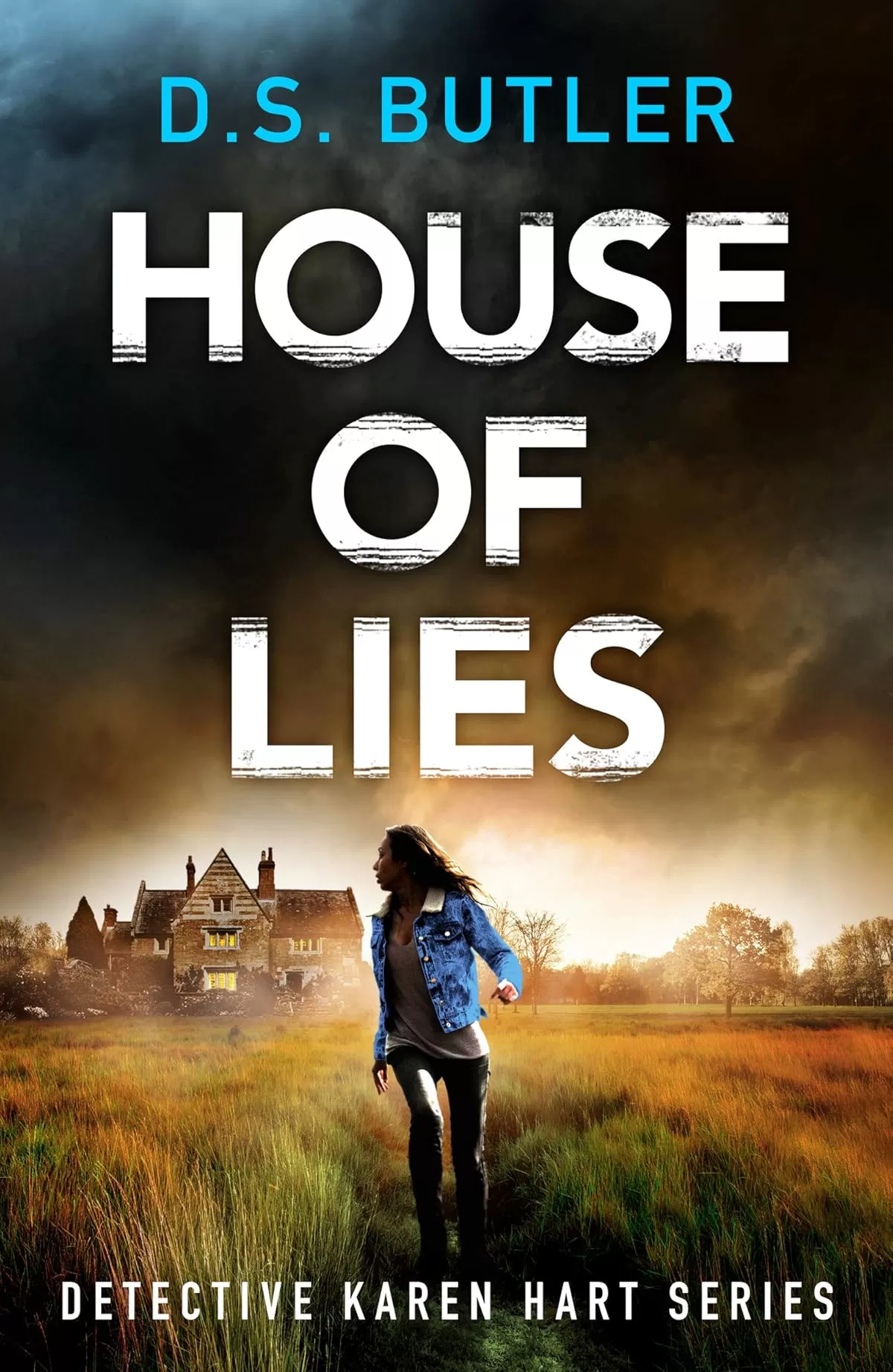 House of Lies (Detective Karen Hart #4) by D. S. Butler