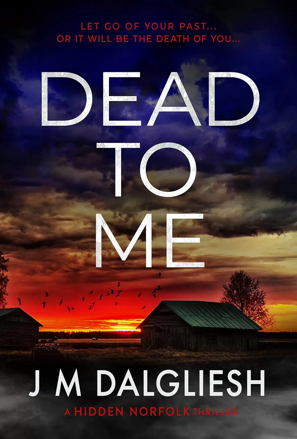 Dead To Me: A Hidden Norfolk Thriller (Hidden Norfolk #13) by J M Dalgliesh