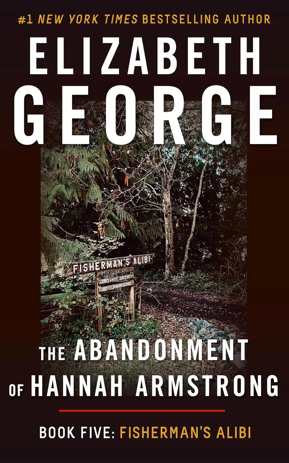 Fisherman's Alibi (The Abandonment of Hannah Armstrong #5) by Elizabeth George