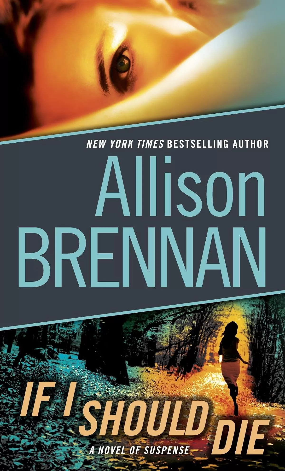 If I Should Die (Lucy Kincaid Novels #3) by Allison Brennan