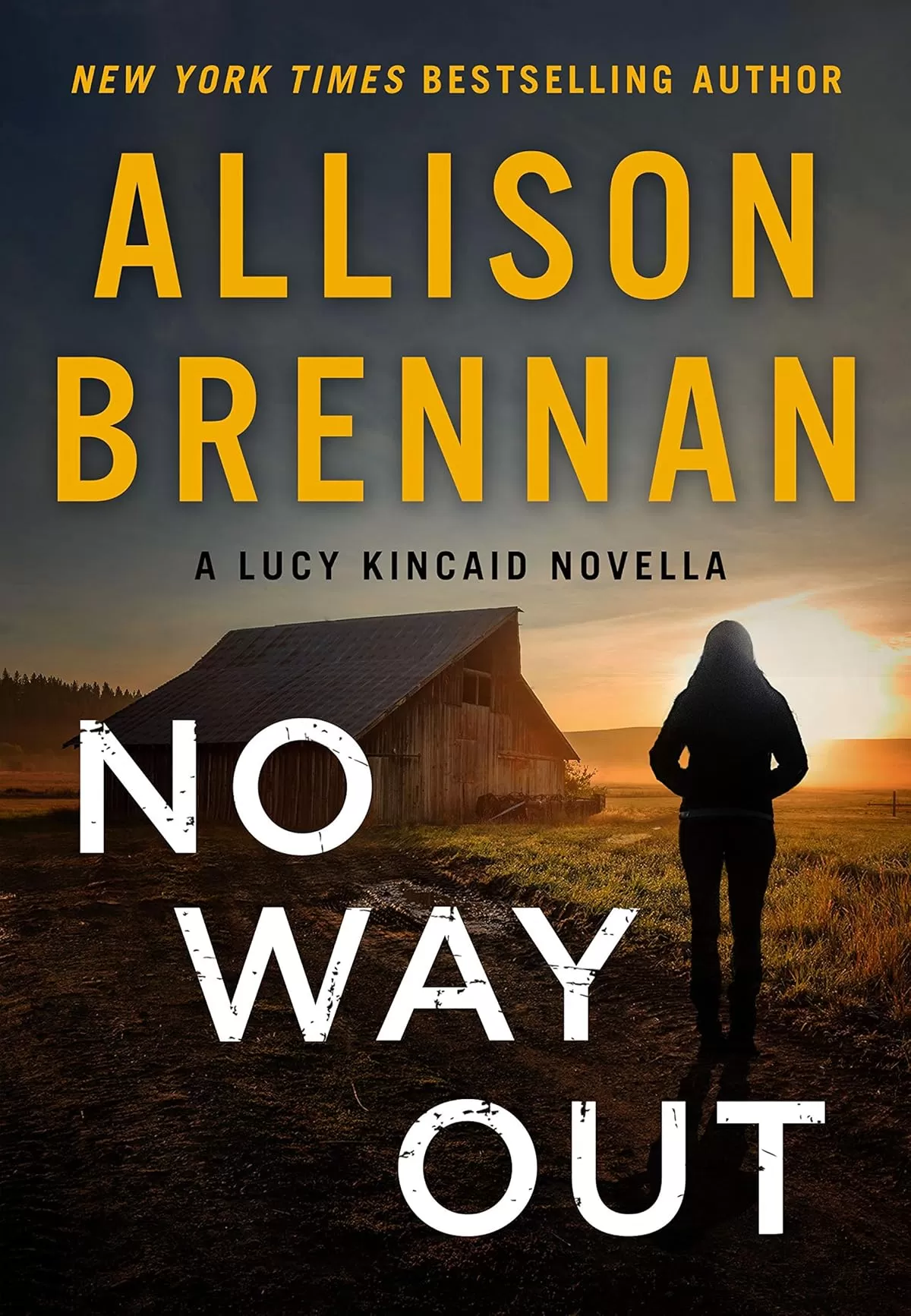 No Way Out (Lucy Kincaid Novels #16.5) by Allison Brennan