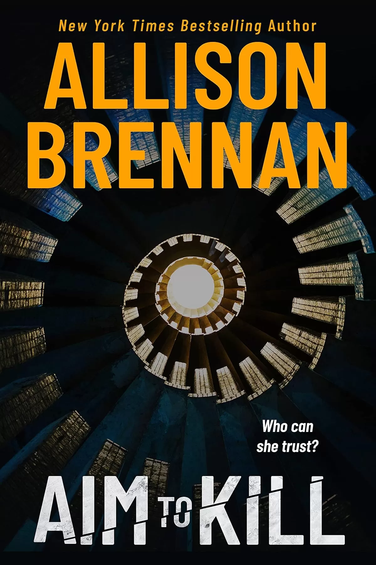 Aim to Kill (River City Mysteries #3) by Allison Brennan