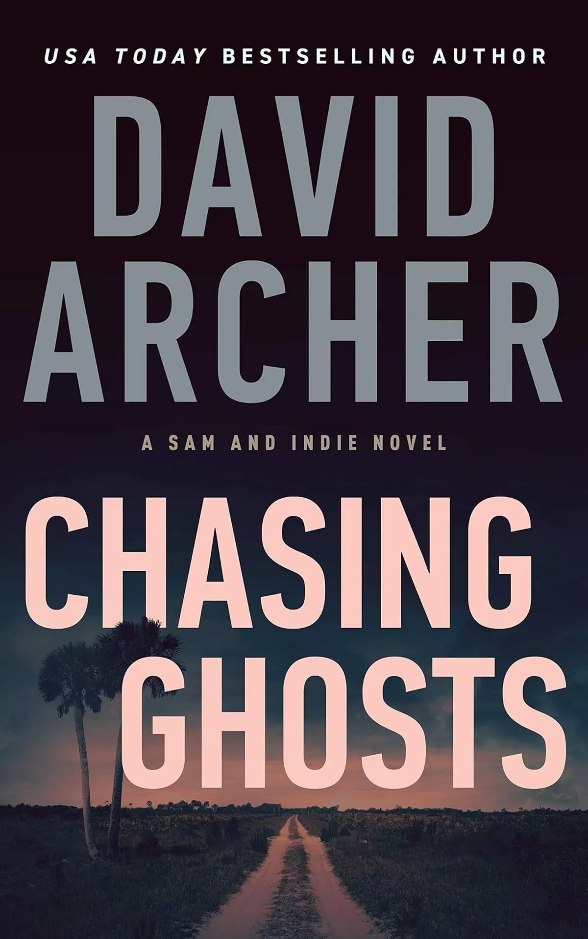 Chasing Ghosts (A Sam and Indie Novel #12) by David Archer