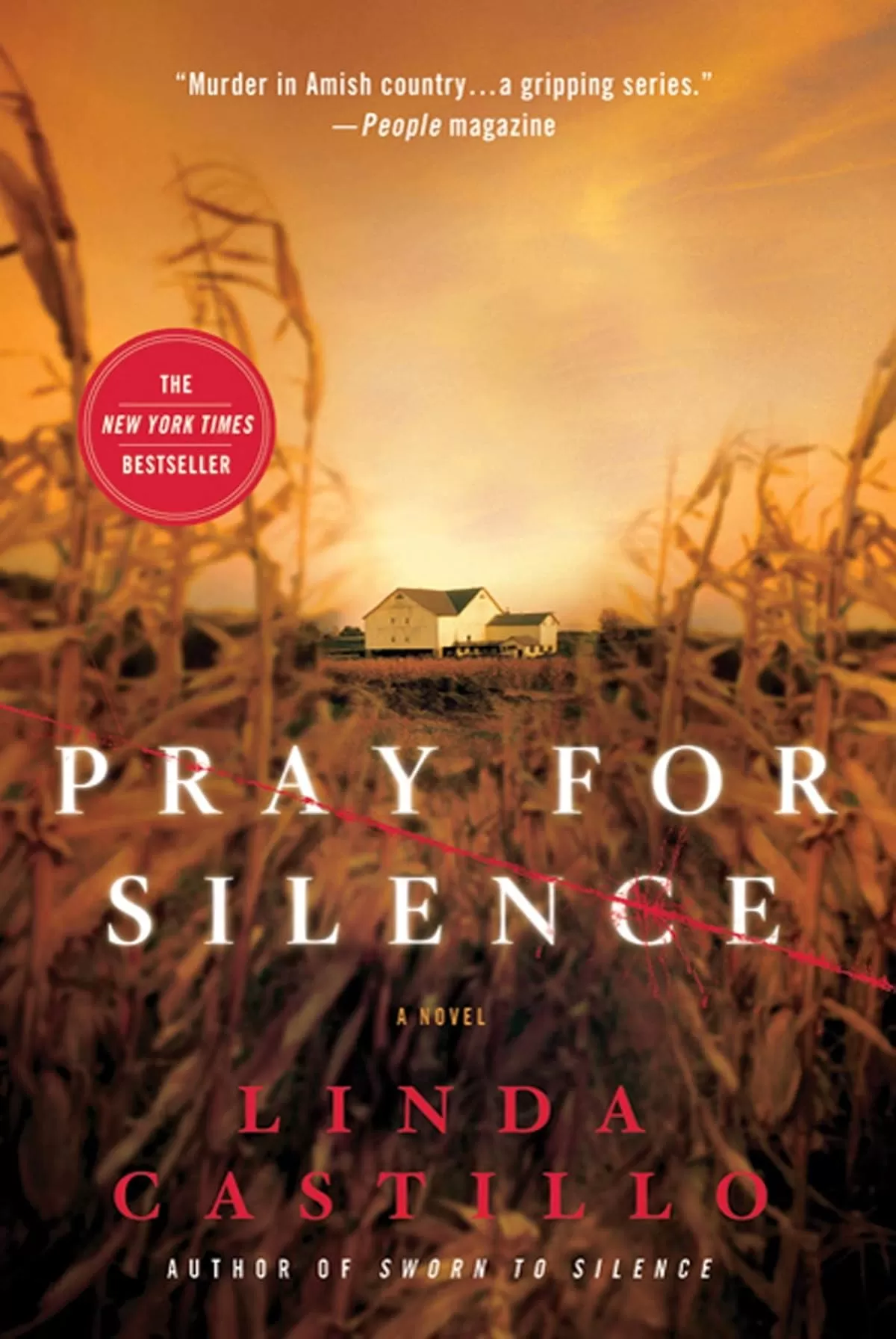 Pray for Silence (Kate Burkholder #2) by Linda Castillo