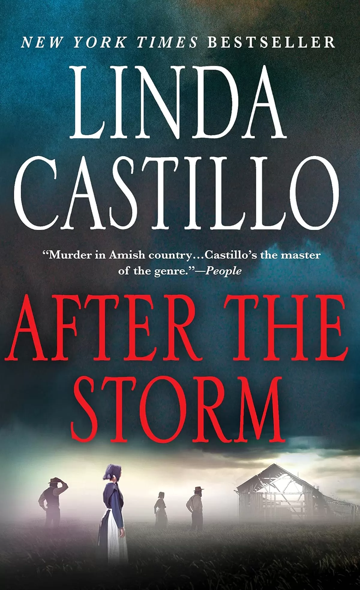 After the Storm (Kate Burkholder #7) by Linda Castillo