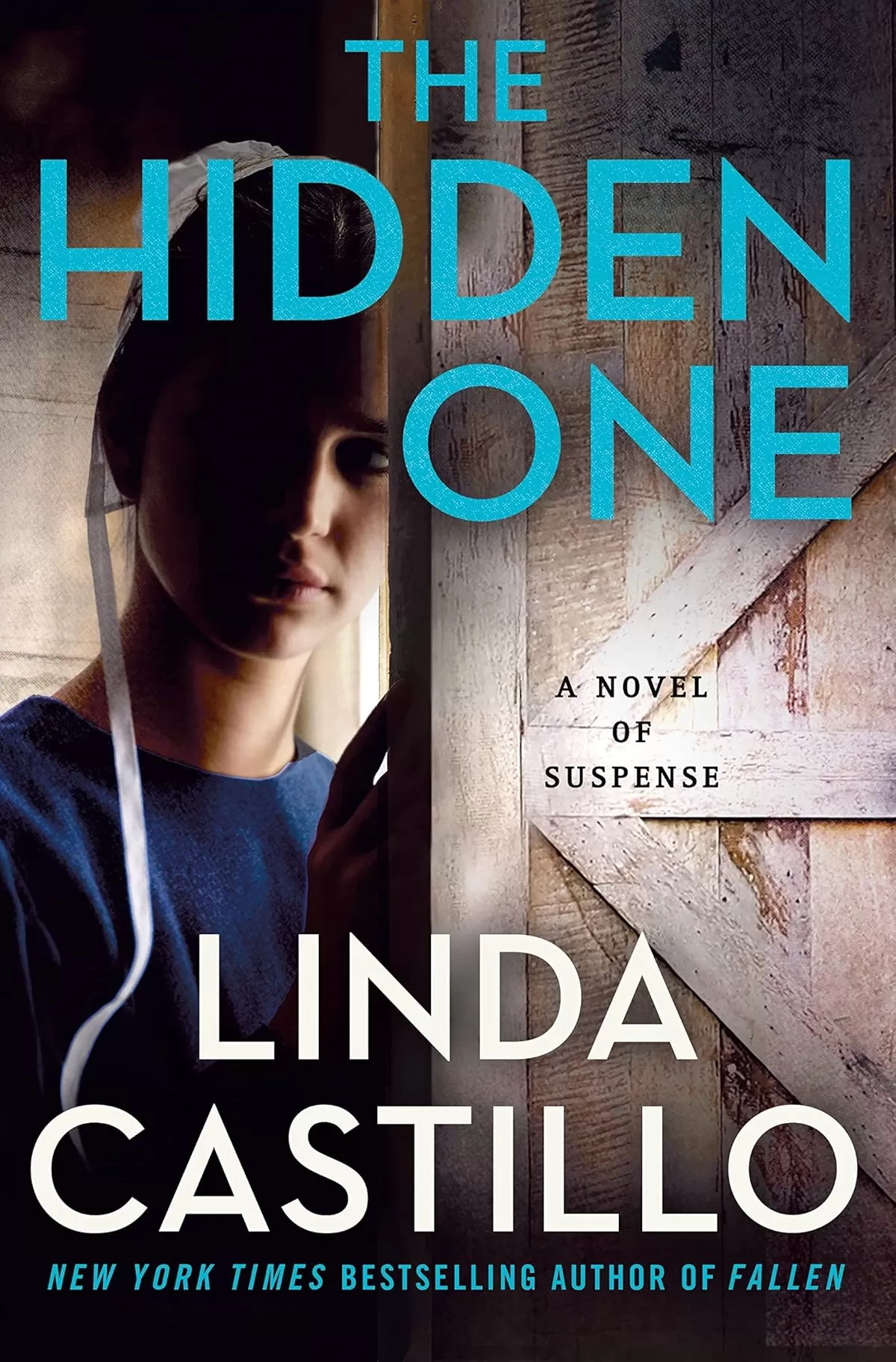 The Hidden One (Kate Burkholder #14) by Linda Castillo