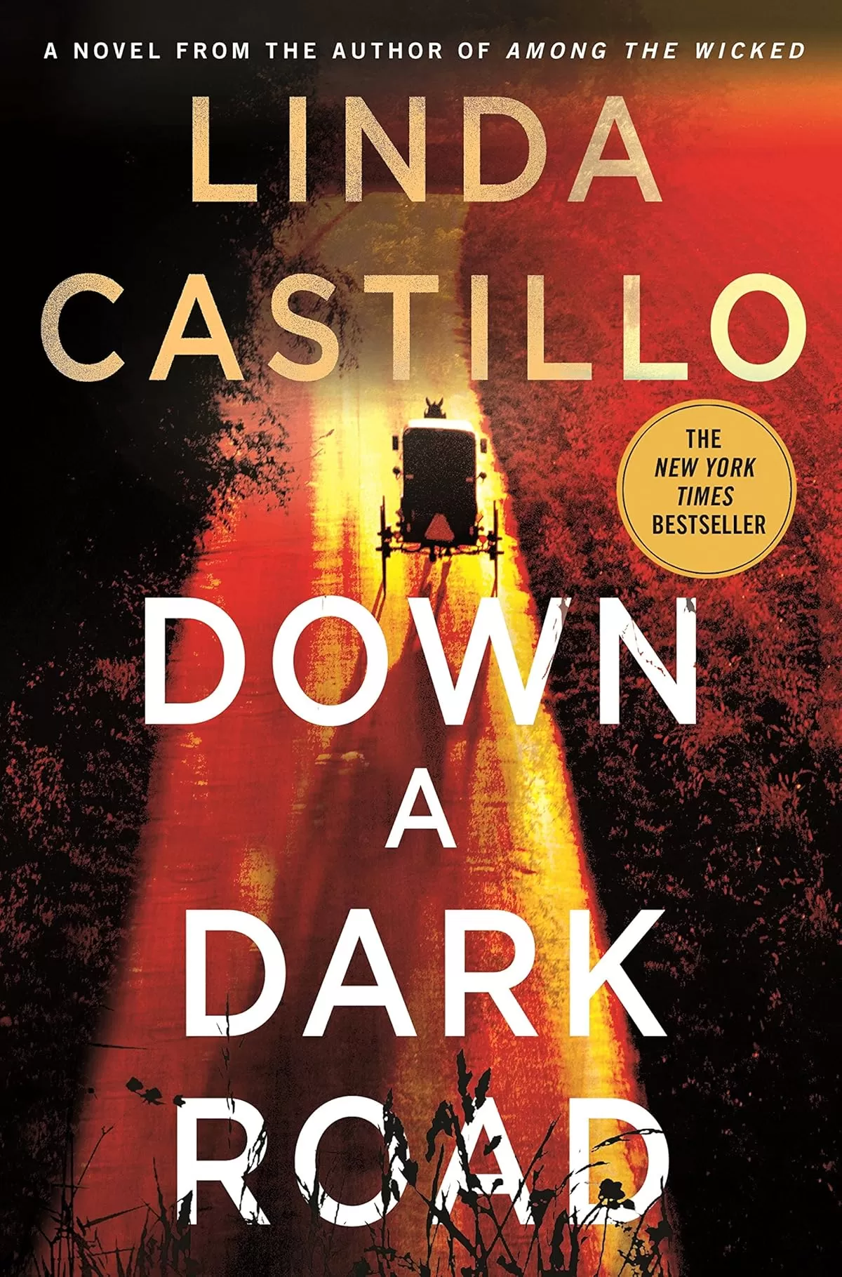 Down a Dark Road (Kate Burkholder #9) by Linda Castillo