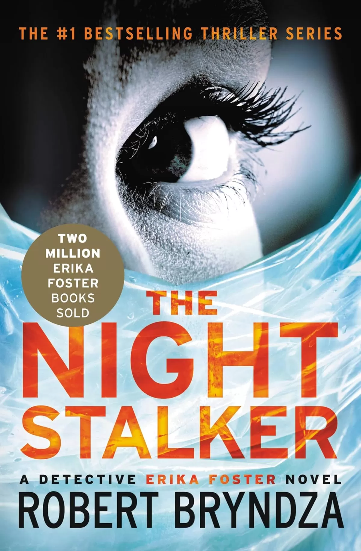 The Night Stalker (Detective Erika Foster #2) by Robert Bryndza