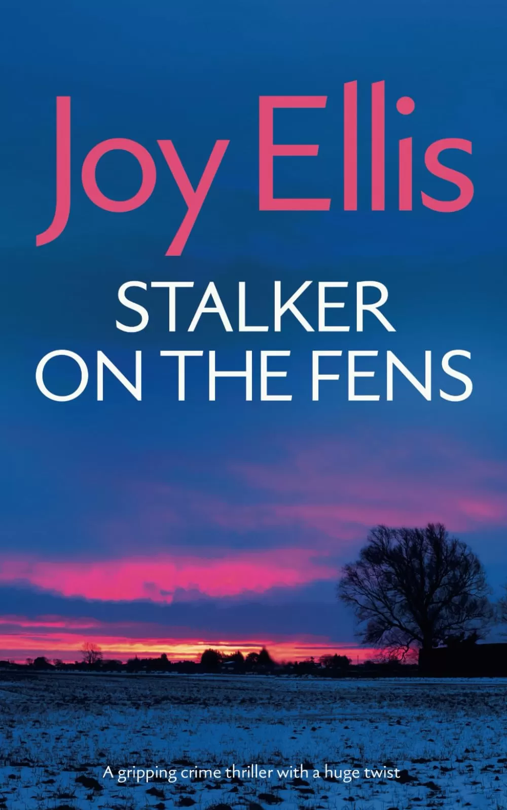 Stalker on Thr Fens (Detective Nikki Galena Mysteries #5) by Joy Ellis