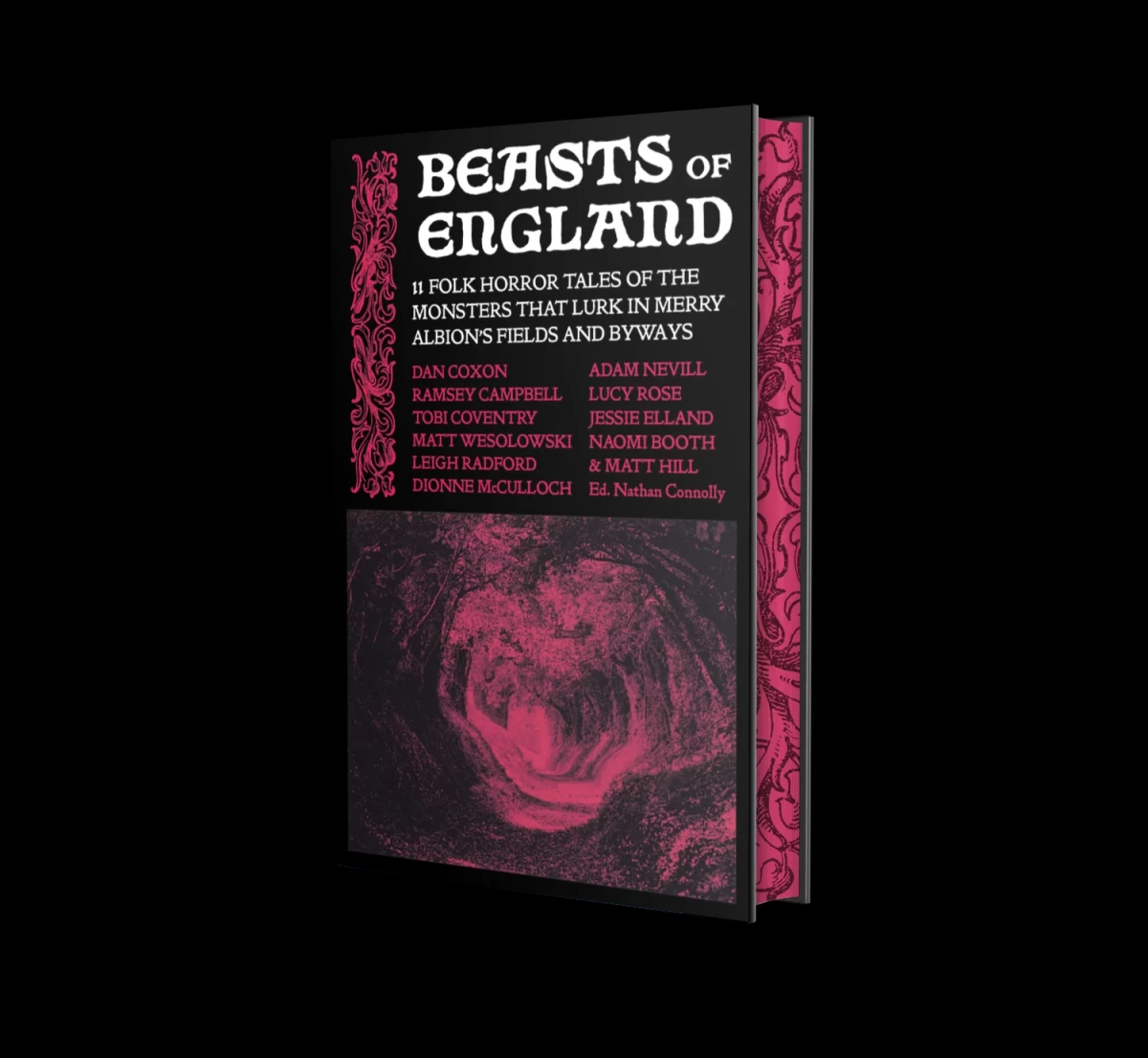 Beasts of England by Nathan Connolly