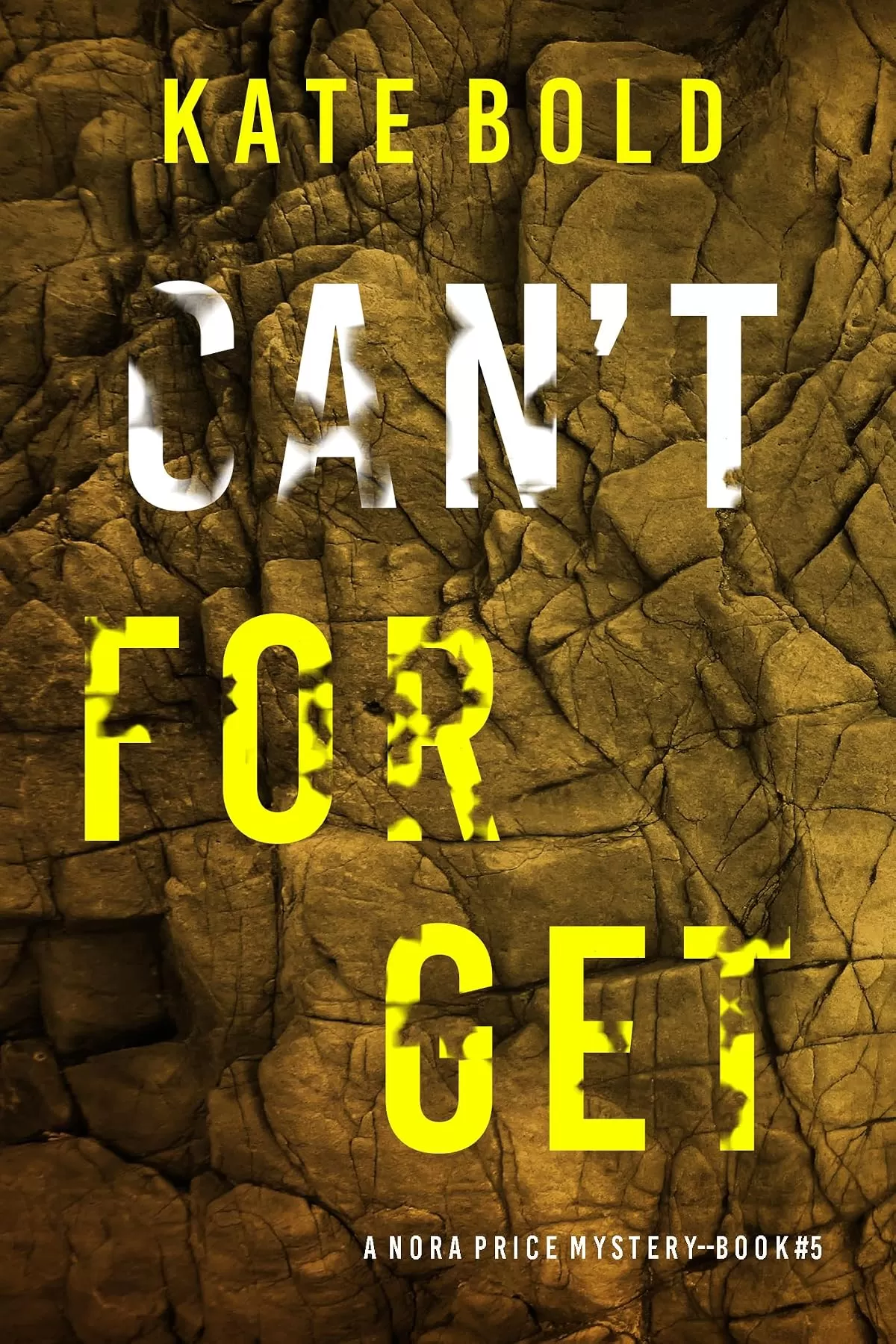 Can't Forget (Nora Price #5) by Kate Bold