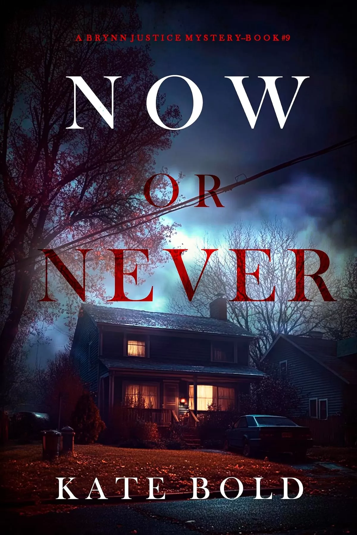 Now or Never (Brynn Justice #9) by Kate Bold