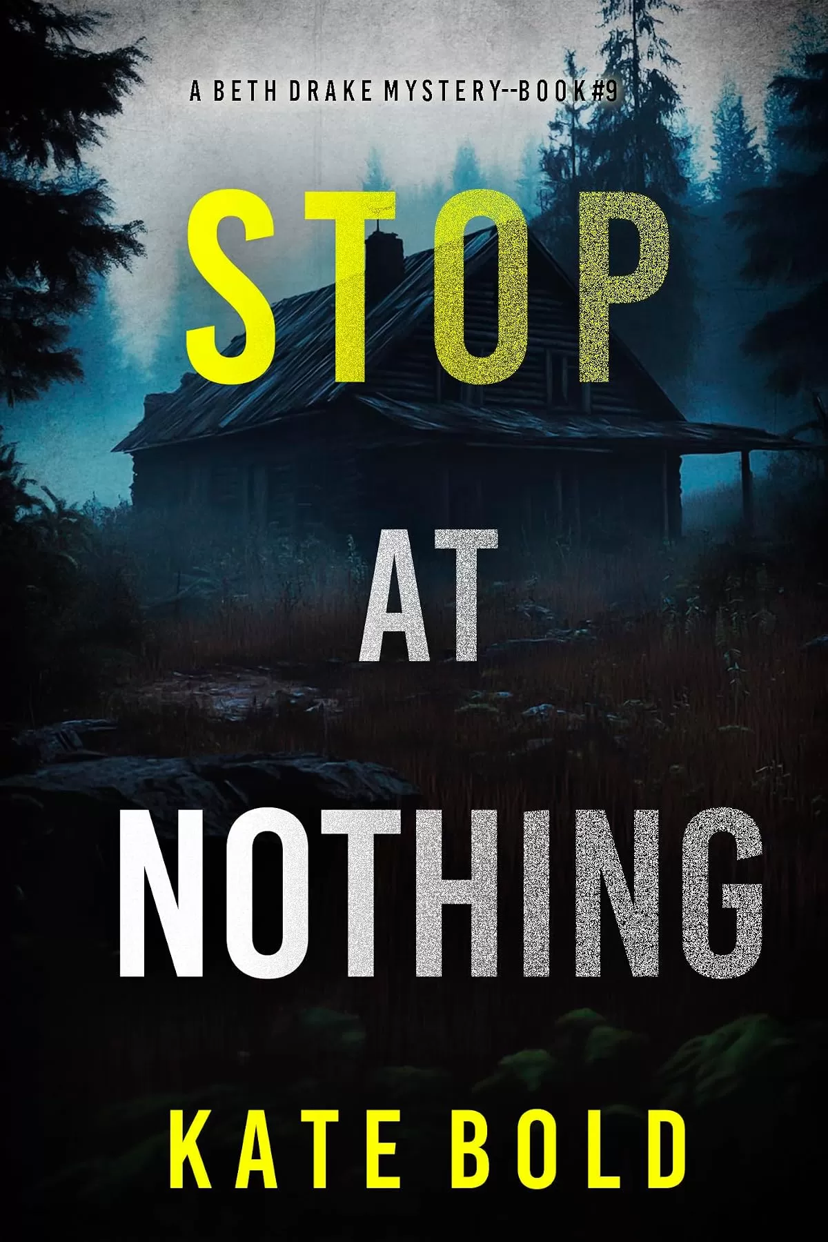Stop At Nothing (Beth Drake #9) by Kate Bold