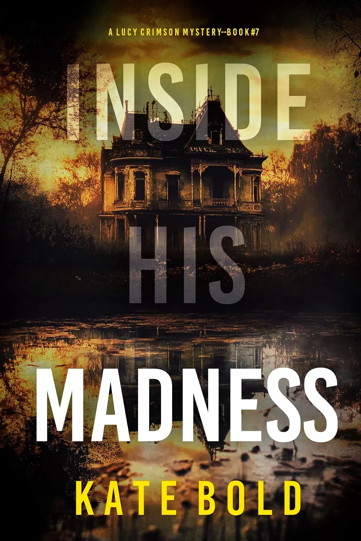 Inside His Madness