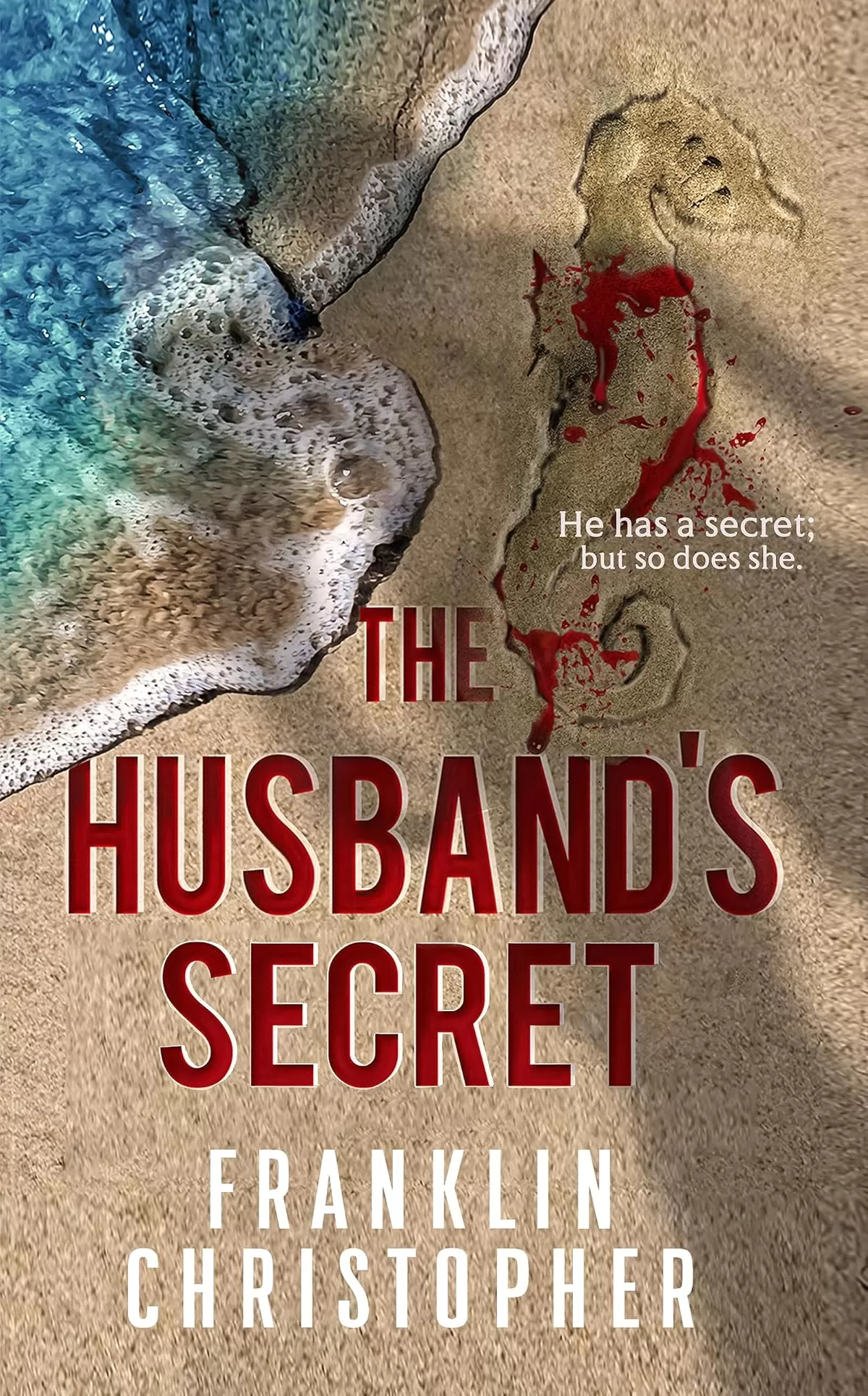 The Husband's Secret (The Husband Series #1) by Franklin Christopher