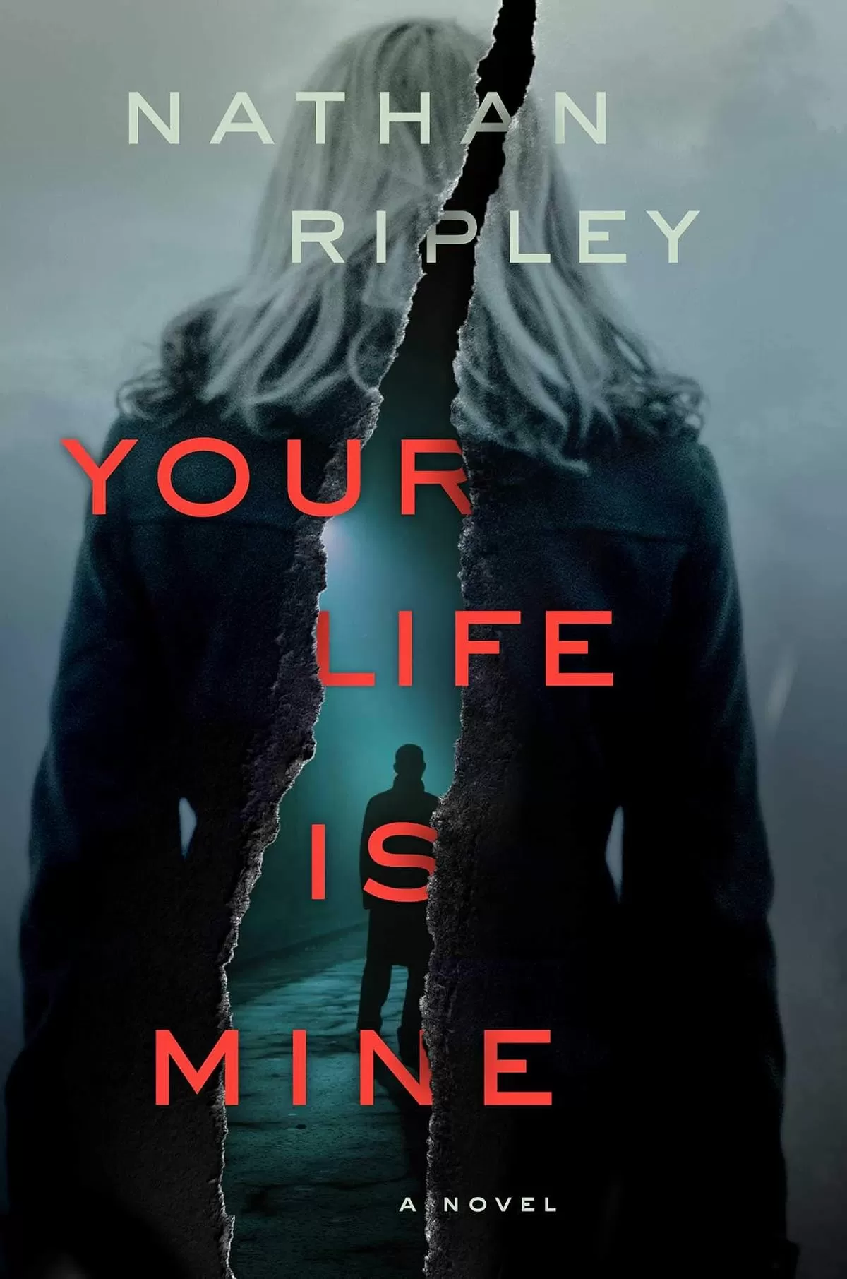 Your Life Is Mine by Nathan Ripley