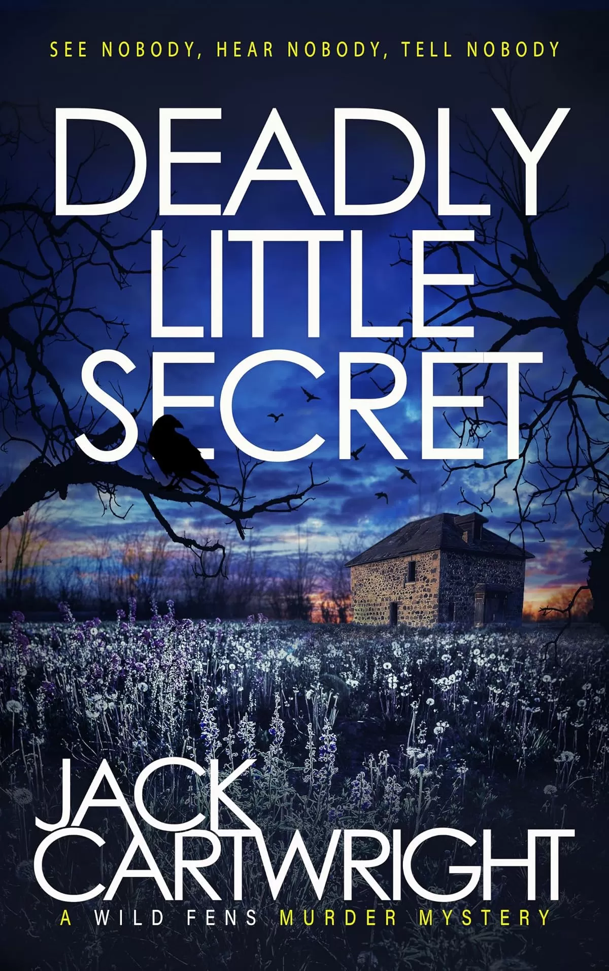 Deadly Little Secret (The Wild Fens Murder Mystery Series #16) by Jack Cartwright
