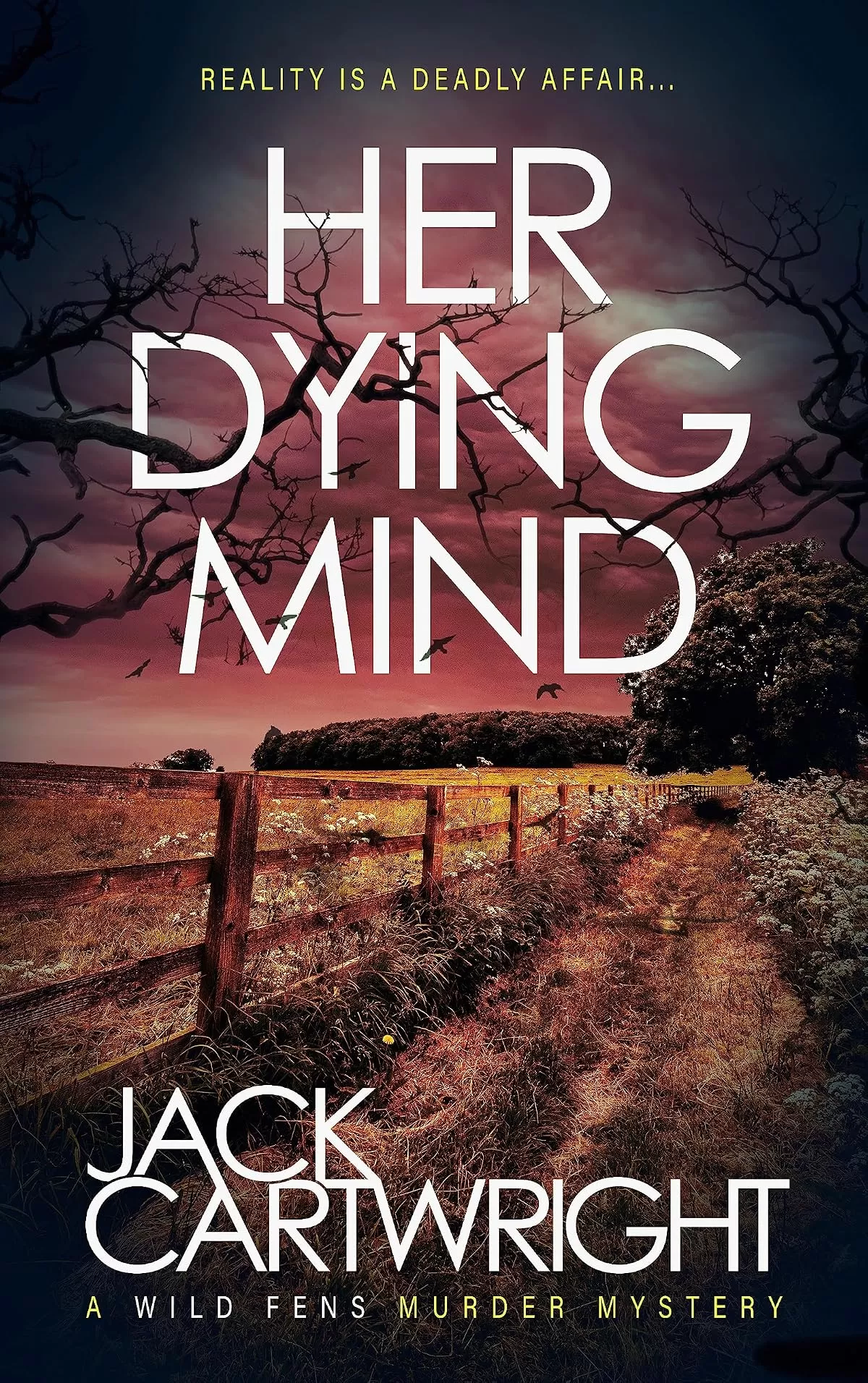 Her Dying Mind (The Wild Fens Murder Mystery Series #11) by Jack Cartwright