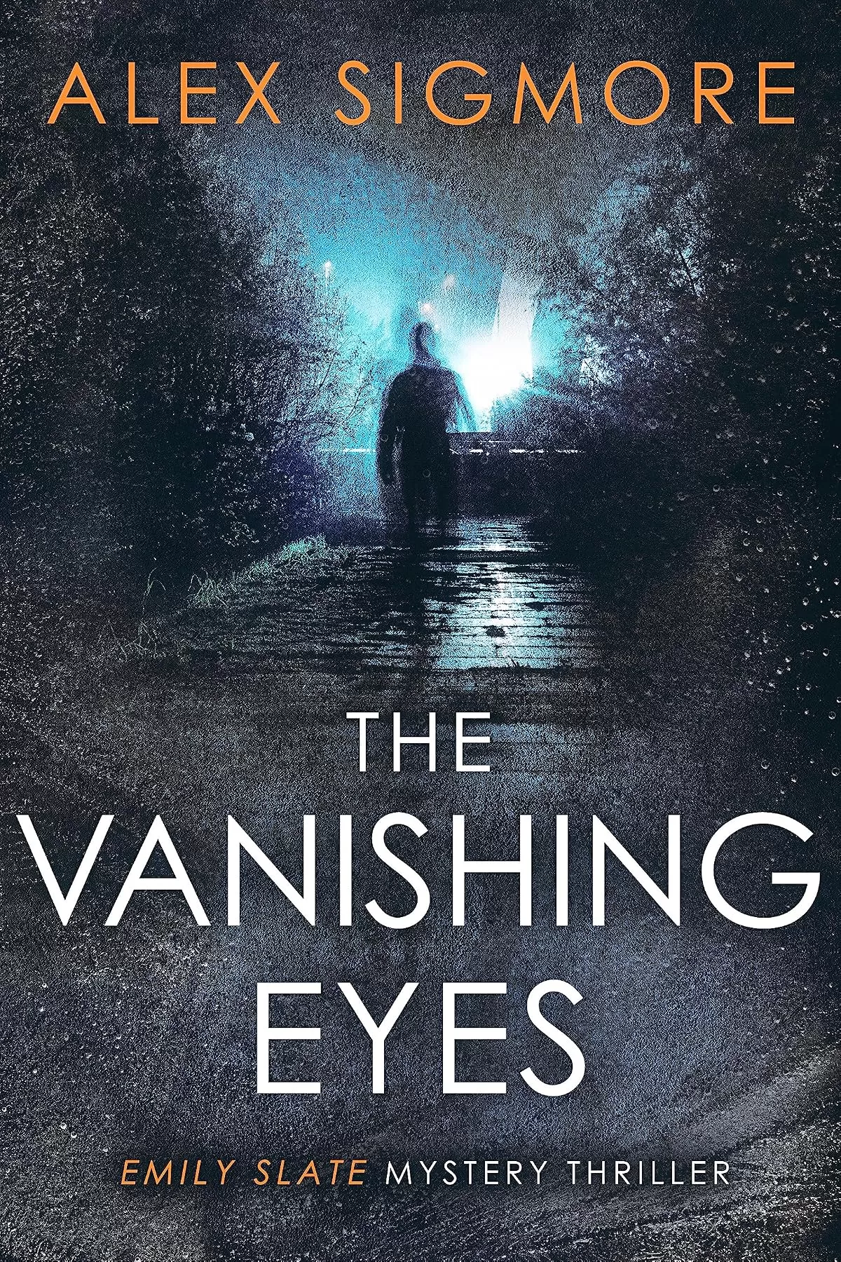 The Vanishing Eyes (Emily Slate FBI Mystery Thriller #11) by Alex Sigmore
