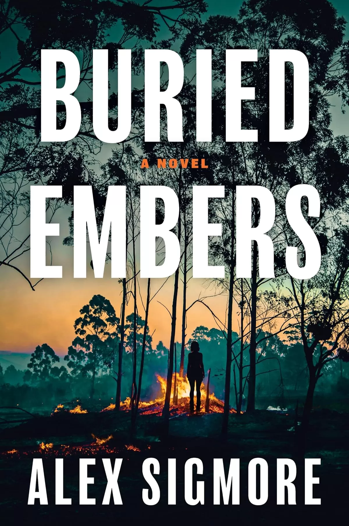 Buried Embers by Alex Sigmore