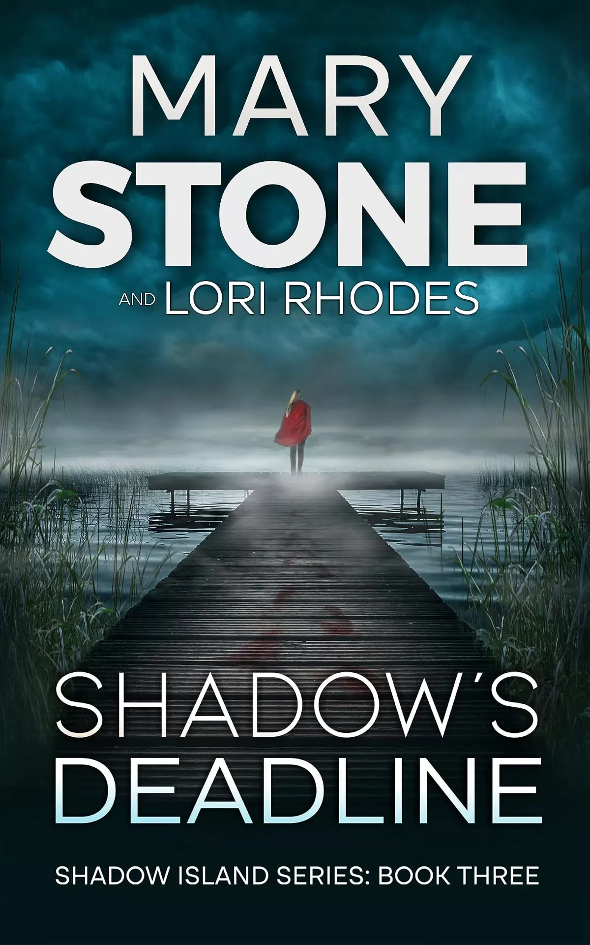 Shadow's Deadline (Shadow Island FBI Mystery Series #3) by Mary Stone